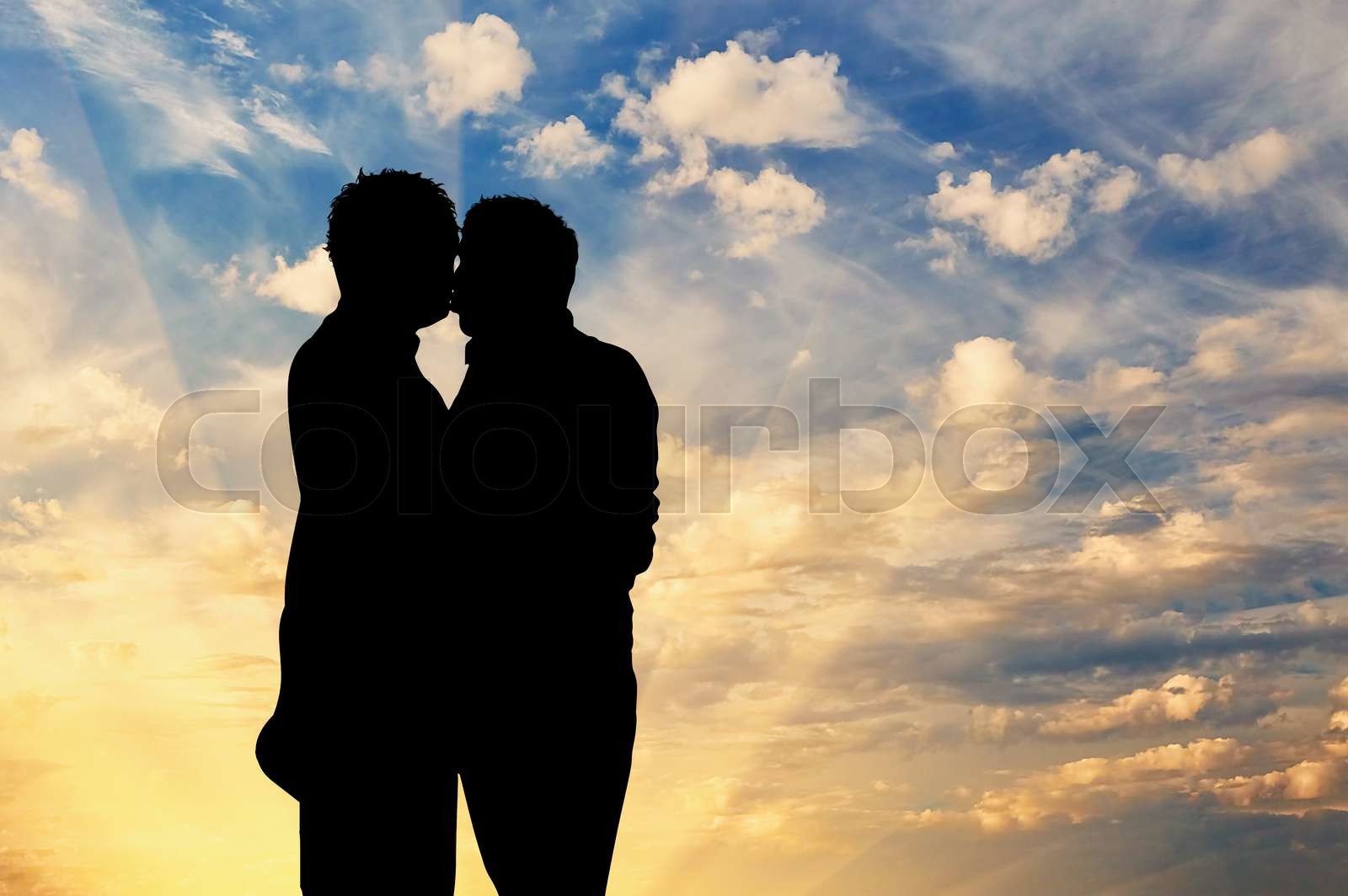 Silhouette Happy Gay Kissing Stock Image Colourbox