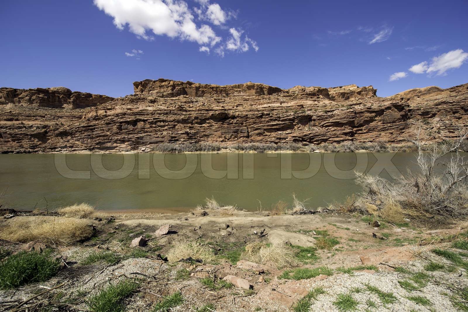 Colorado River Stock image Colourbox