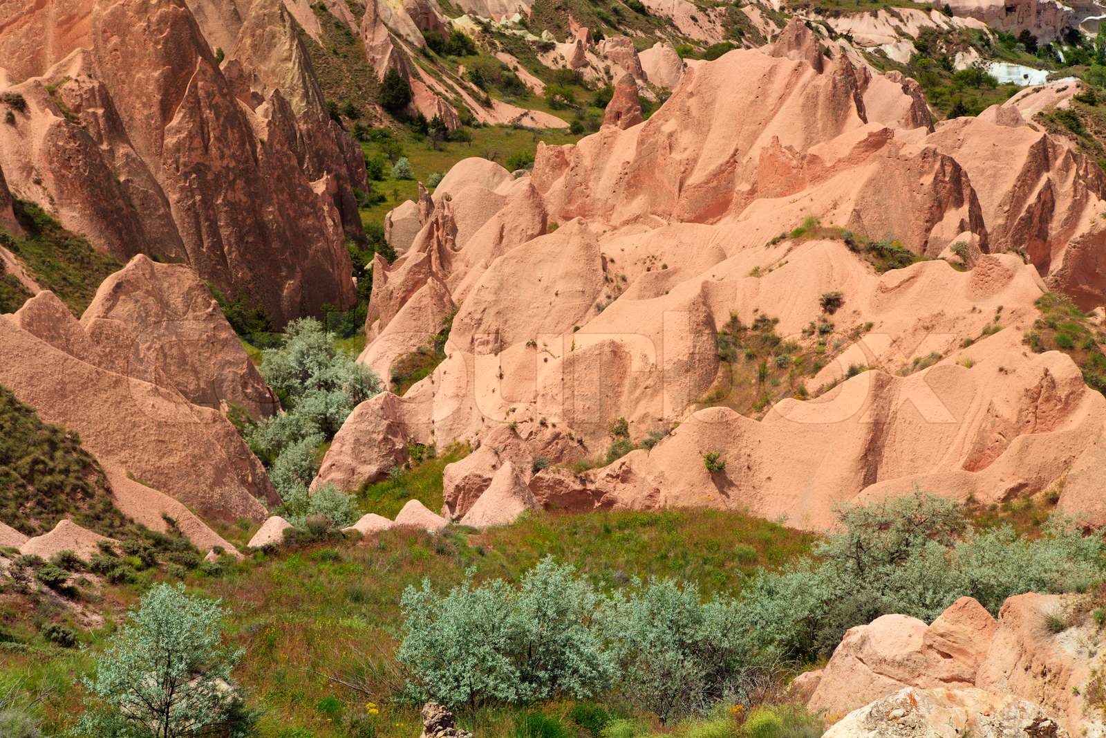 rose-valley-in-cappadocia-stock-image-colourbox