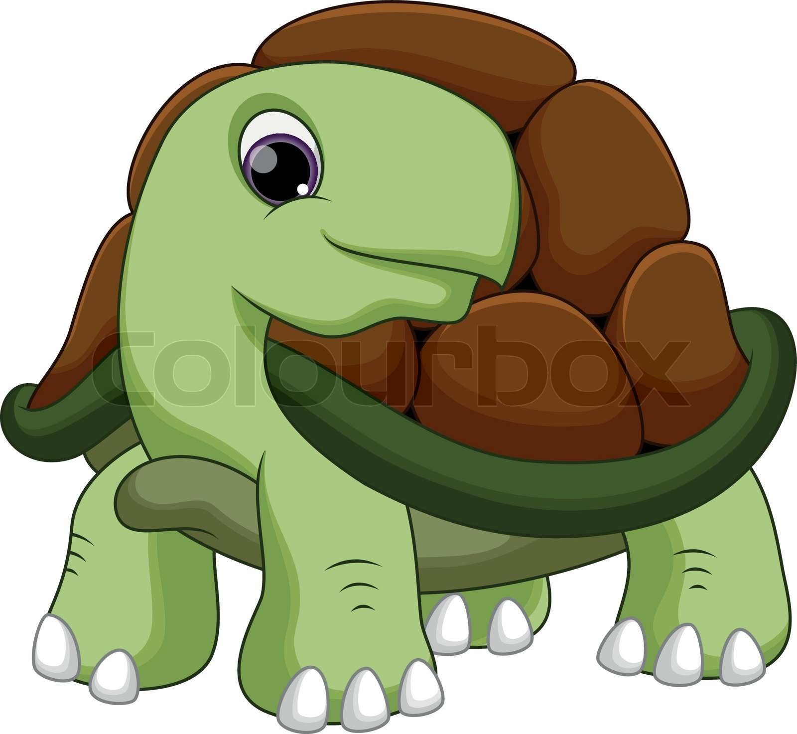 Turtle cartoon | Stock vector | Colourbox