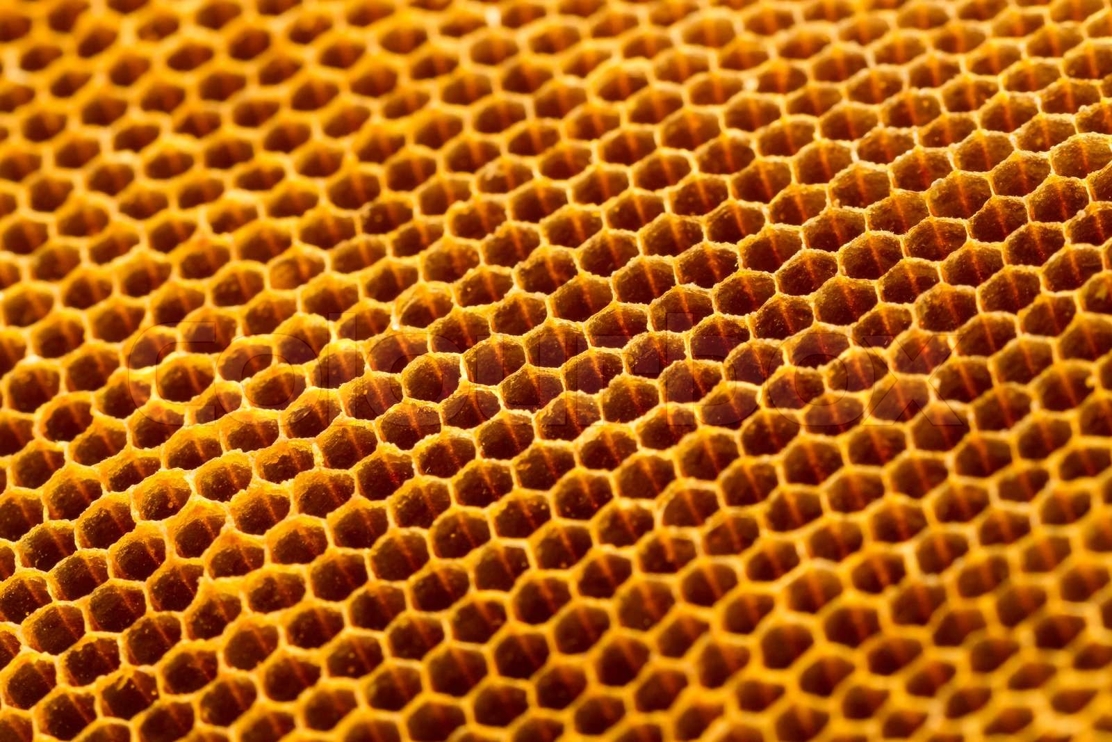 Beautiful without honey texture Stock image Colourbox