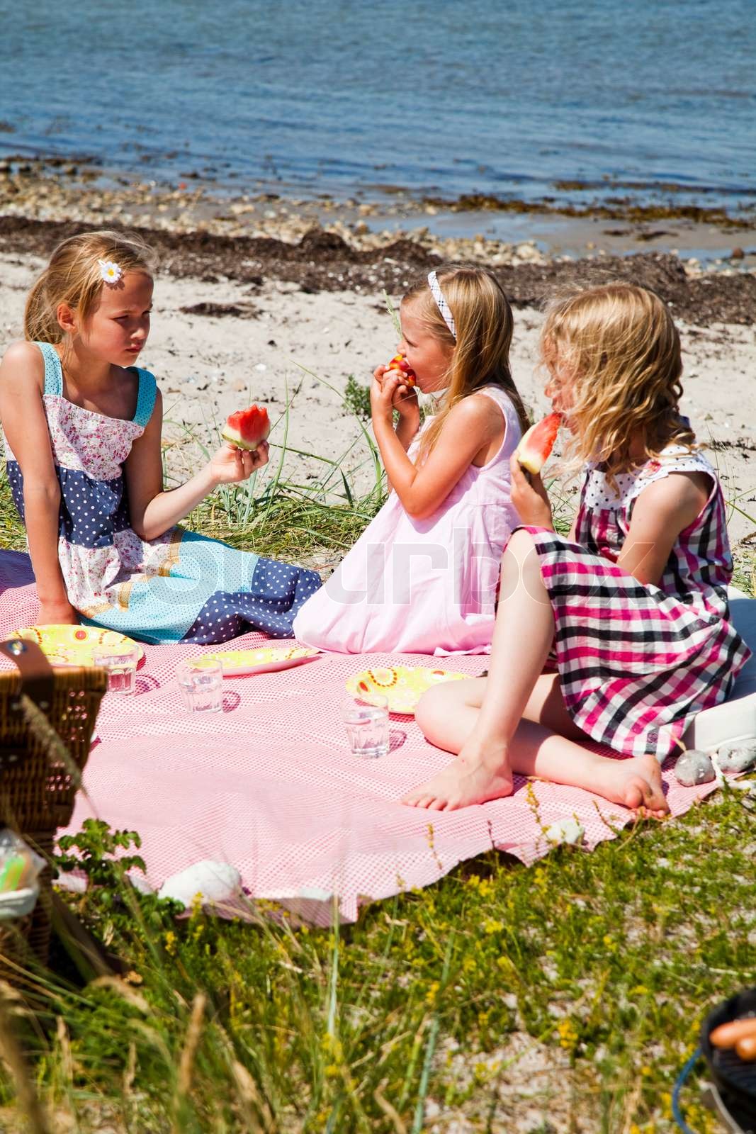 dansk, strand, picnic Stock foto Colourbox
