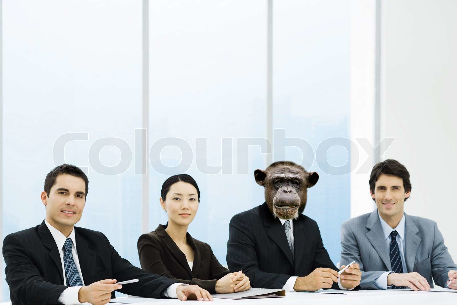 büro, affe, chef | Stock Bild | Colourbox