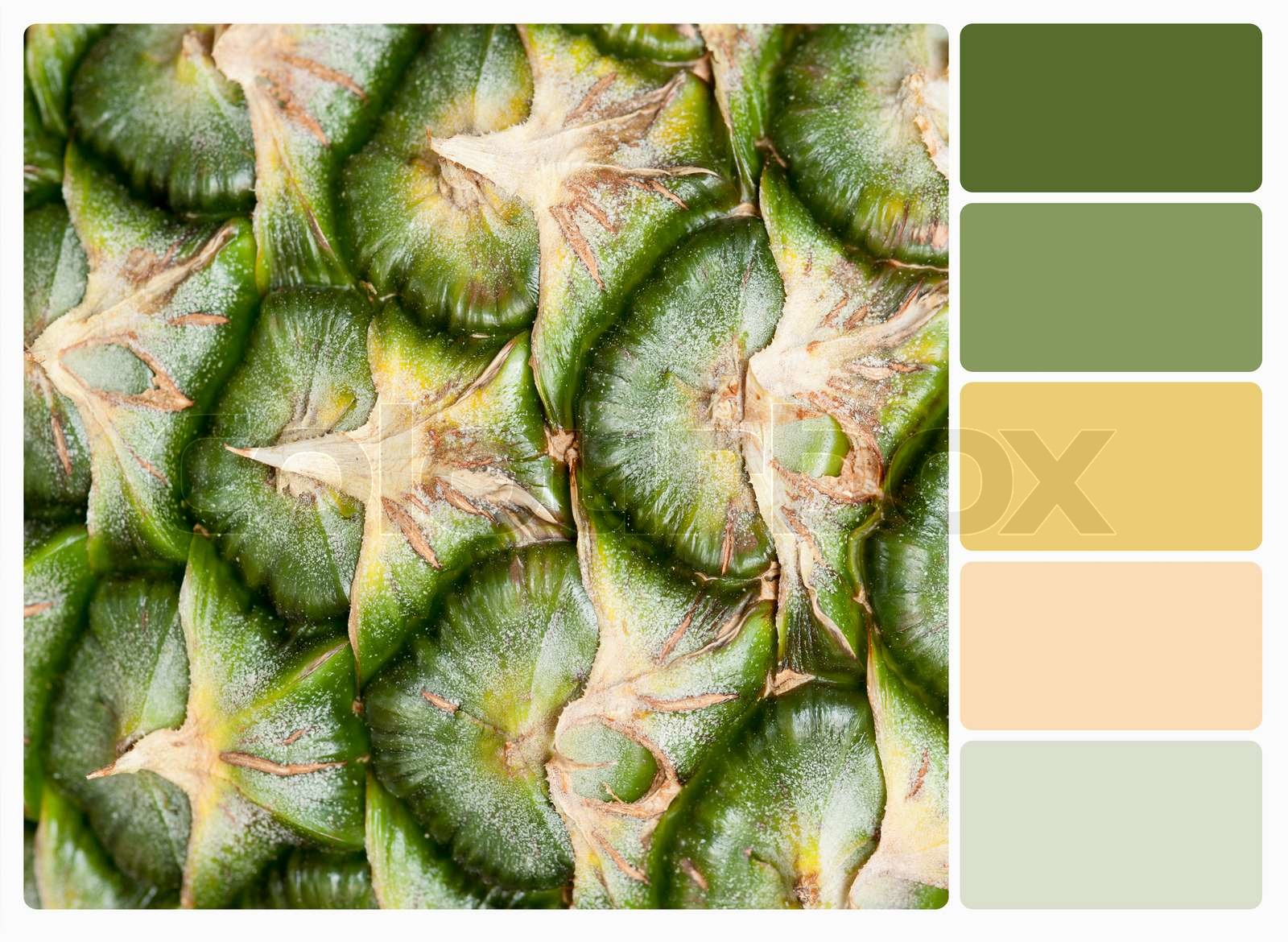 Pineapple.Color Palette mit kostenlosen Farbfelder Stock Bild Colourbox