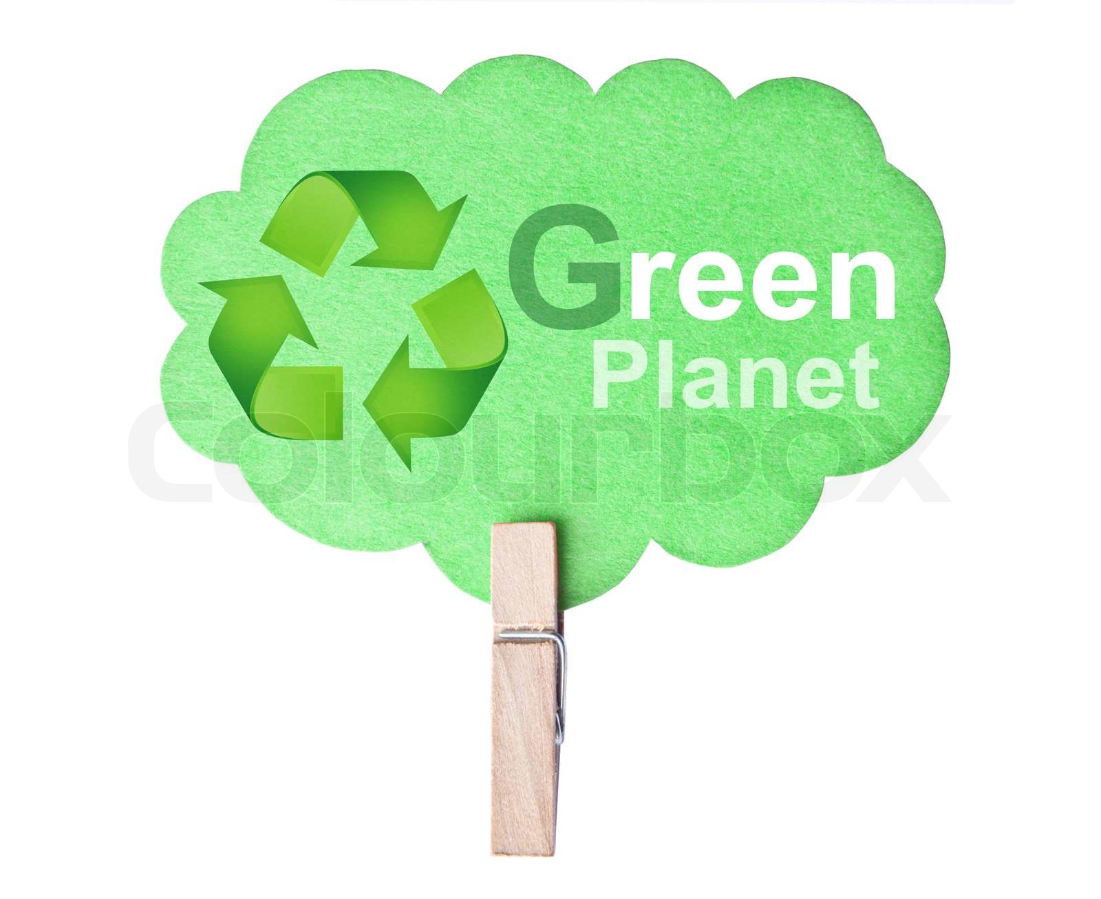 Bachelor Geschenk 48 Blanko-Grußkarten Mit Tierzeichnungen -  Umweltfreundlich Aus Recyclingpapier Tierzeichnungen Künstler, image size:1600x1307