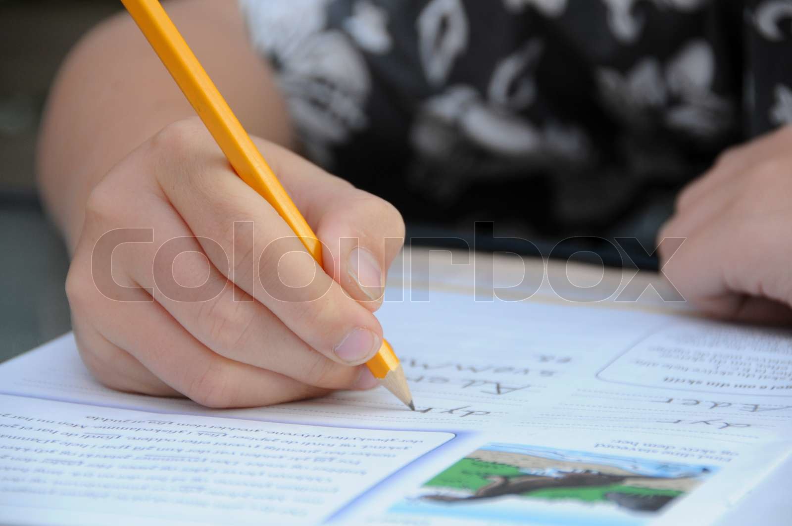 Schreiben | Stock Bild | Colourbox