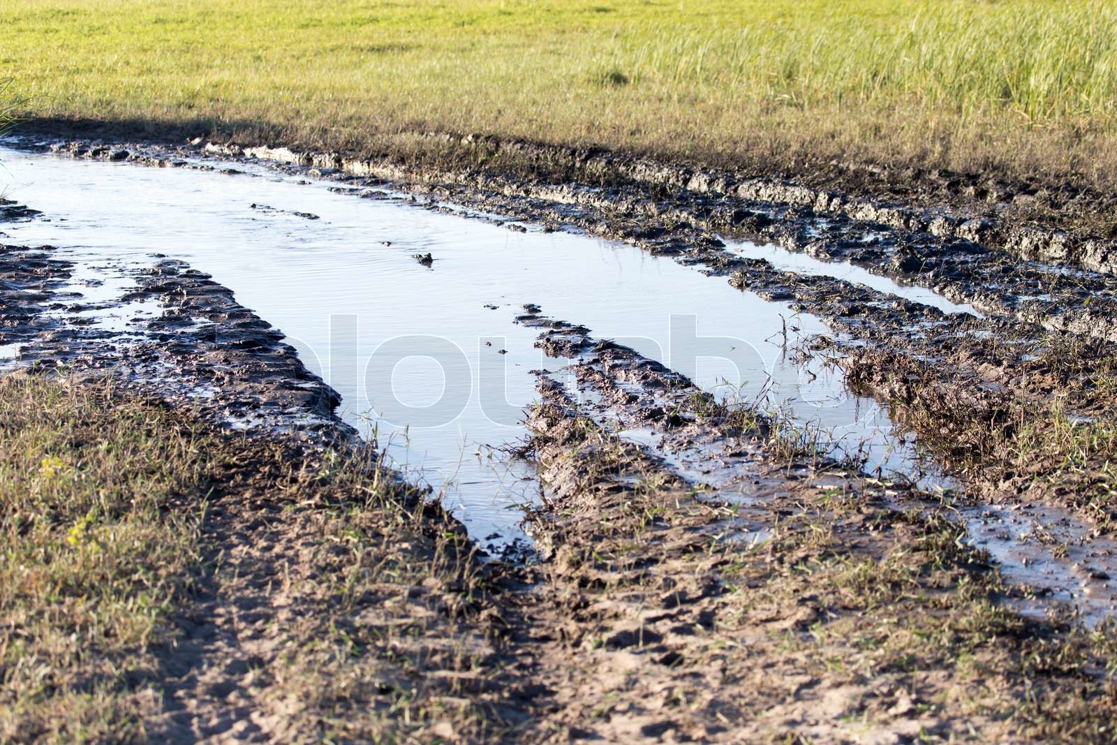 muddy road | Stock image | Colourbox