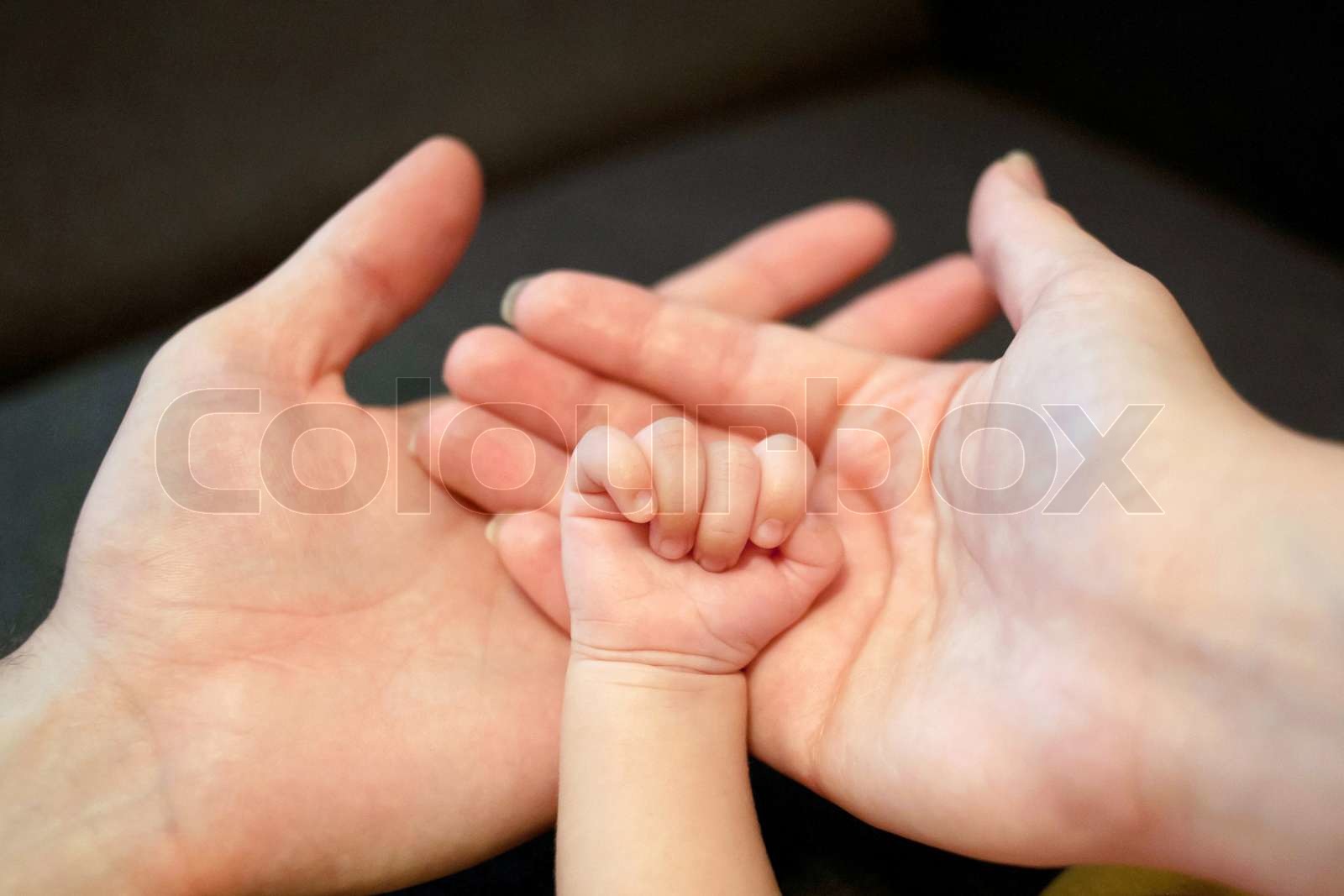Hands of father, mother and newborn baby. | Stock image | Colourbox