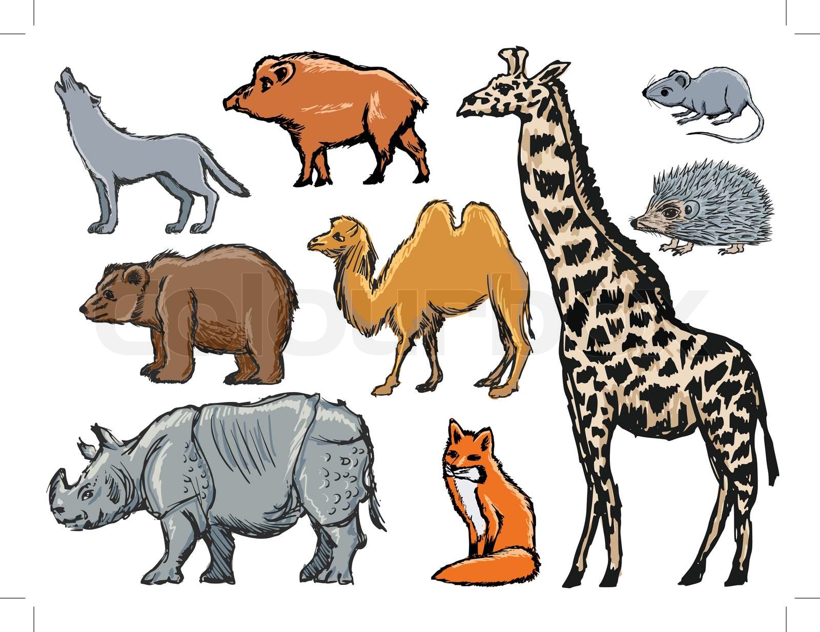 mammals | Stock vector | Colourbox