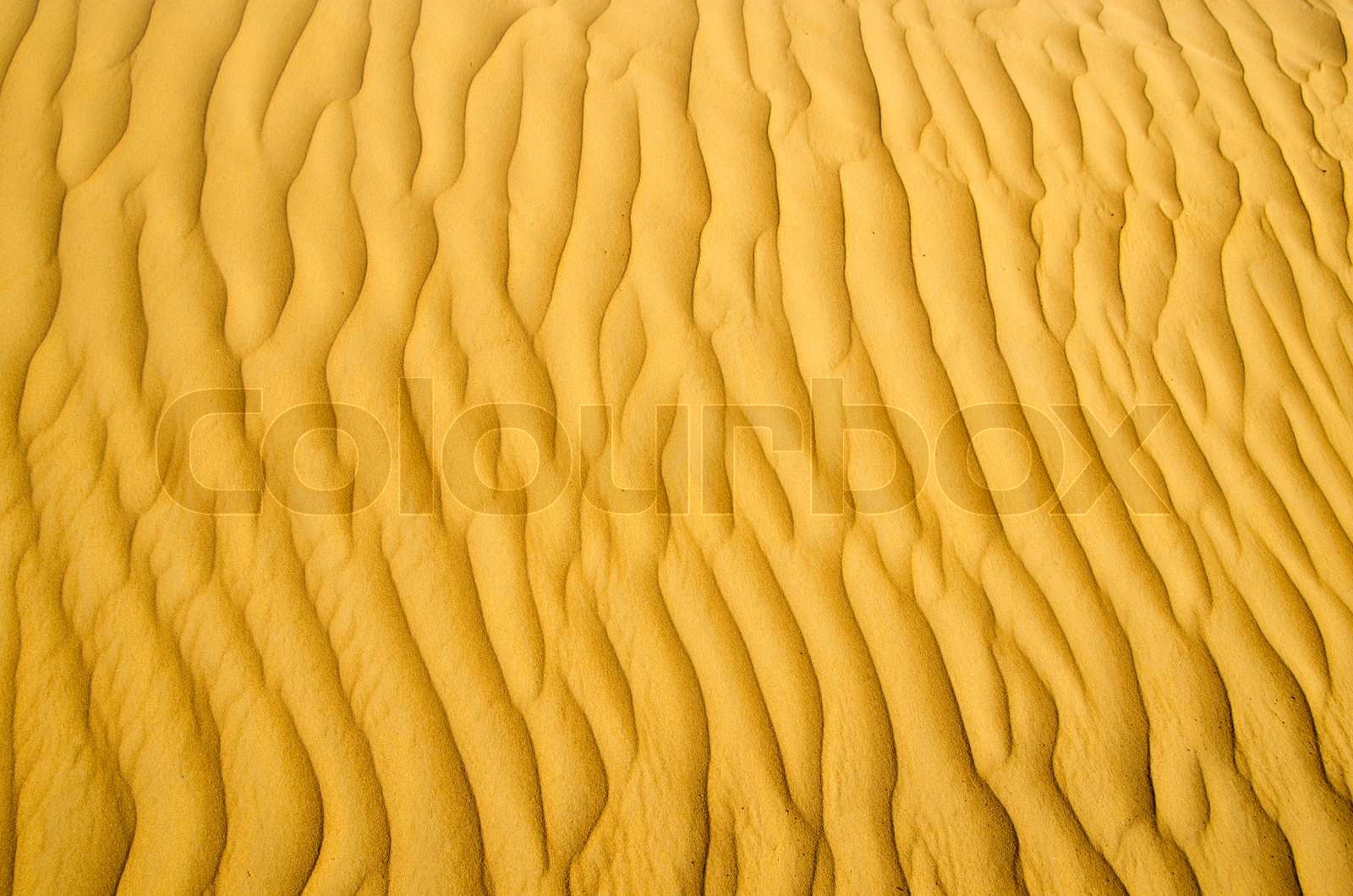 Sandwüste | Stock Bild | Colourbox