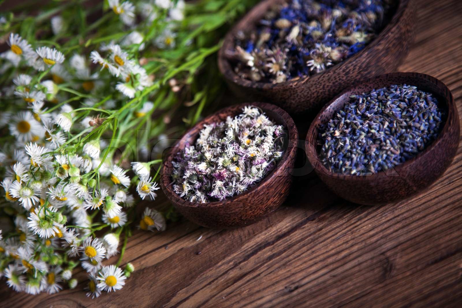 The ancient Chinese medicine | Stock image | Colourbox