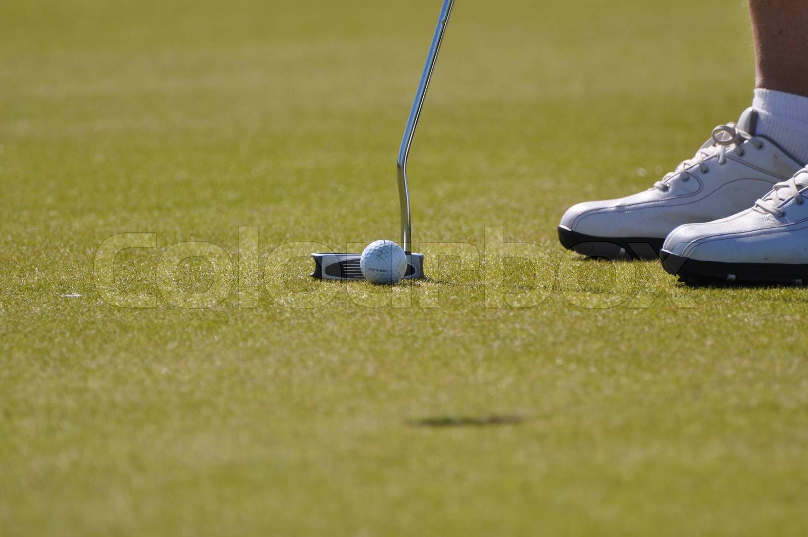 golf, green, leisures Stock image Colourbox