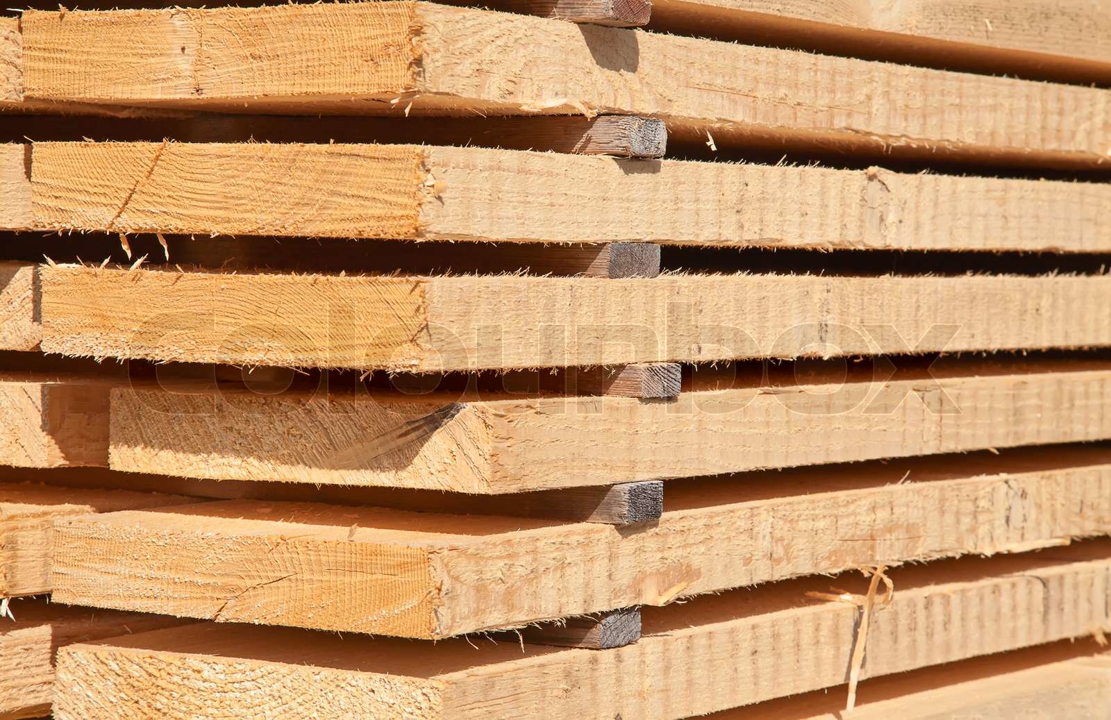 Fresh wooden studs | Stock image | Colourbox