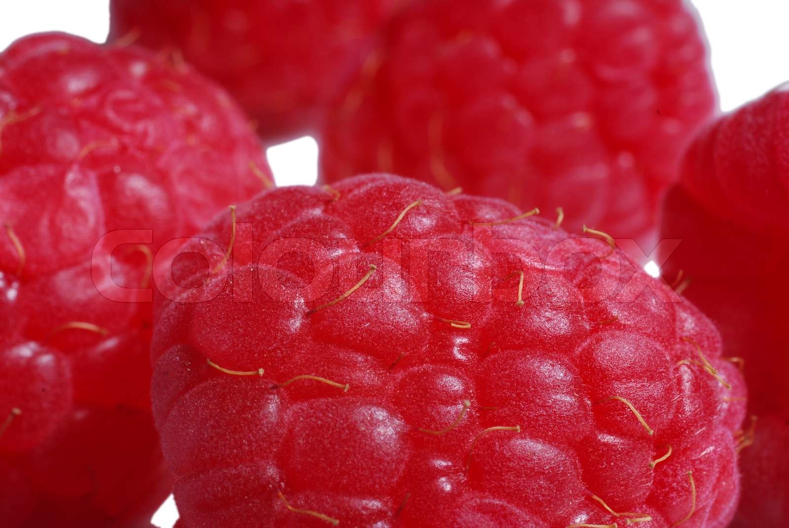 rasberry | Stock image | Colourbox