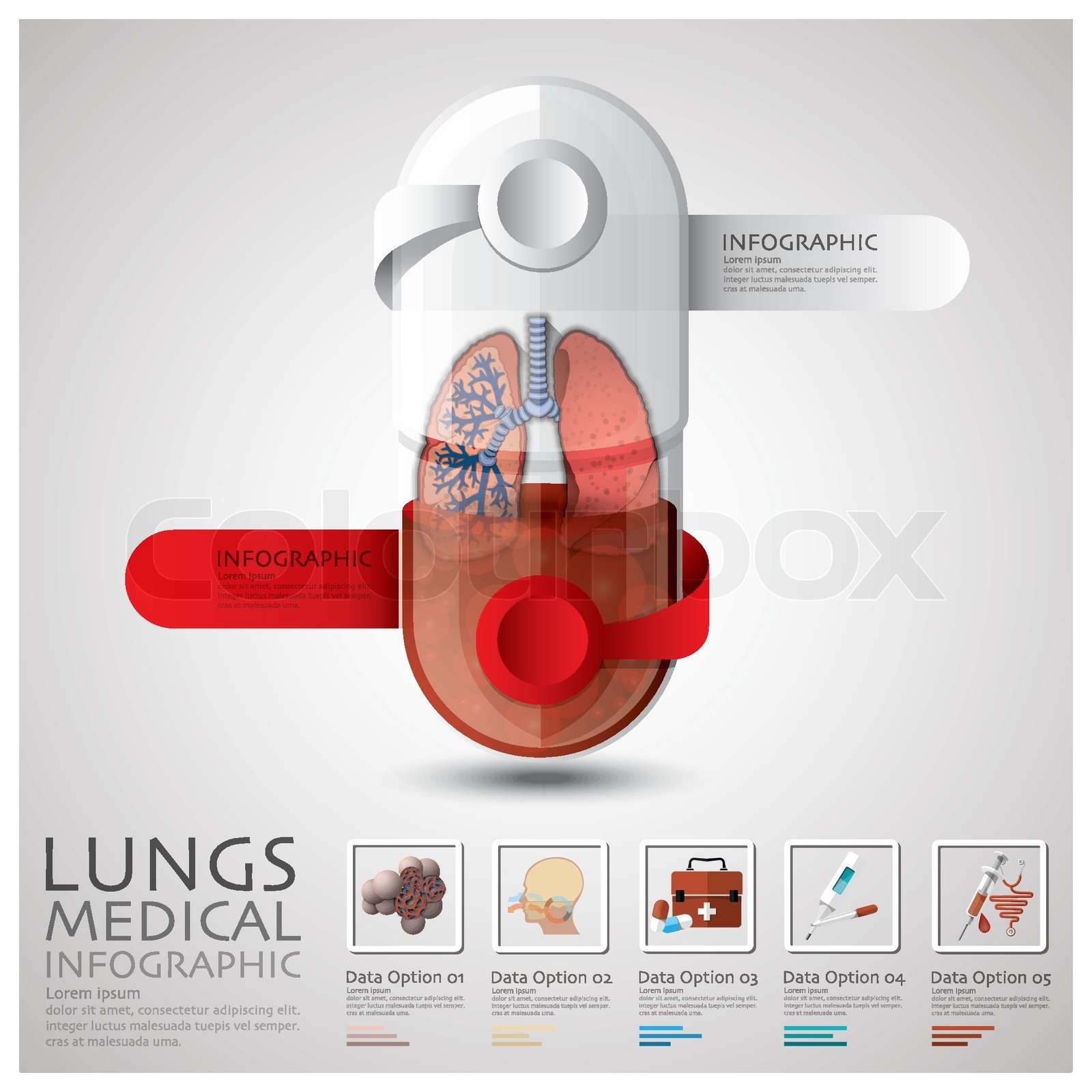 Pill Capsule Lungs Health And Medical Infographic Stock vector Colourbox