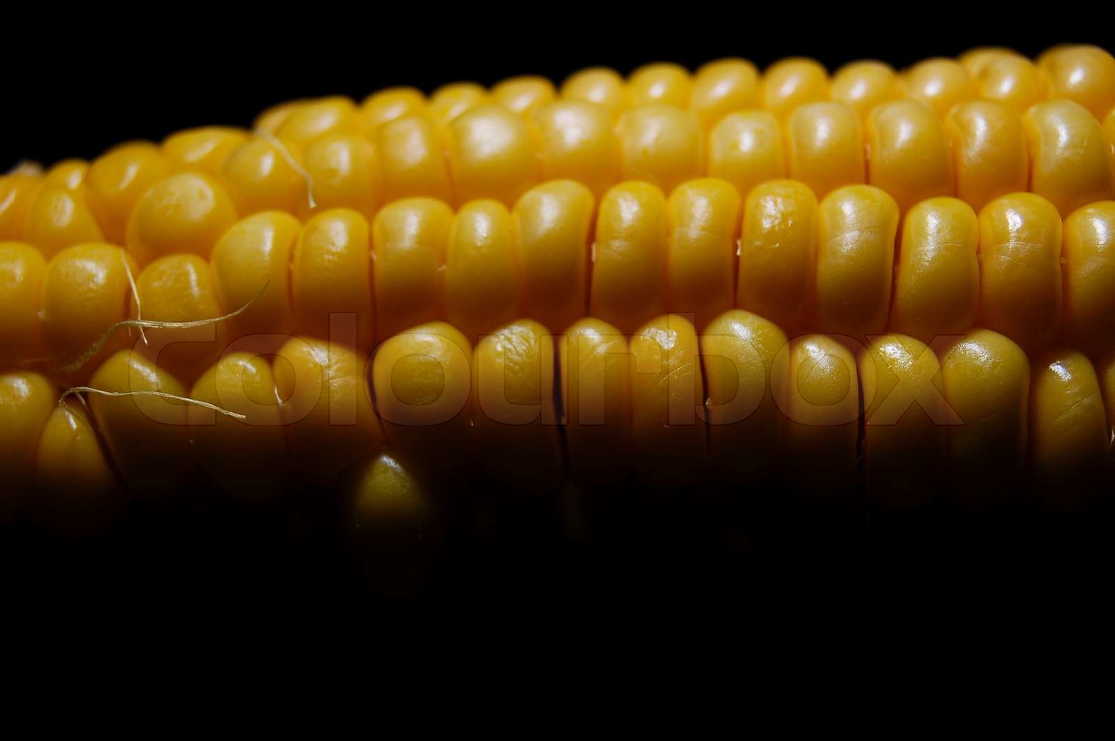 Majs Stock image Colourbox