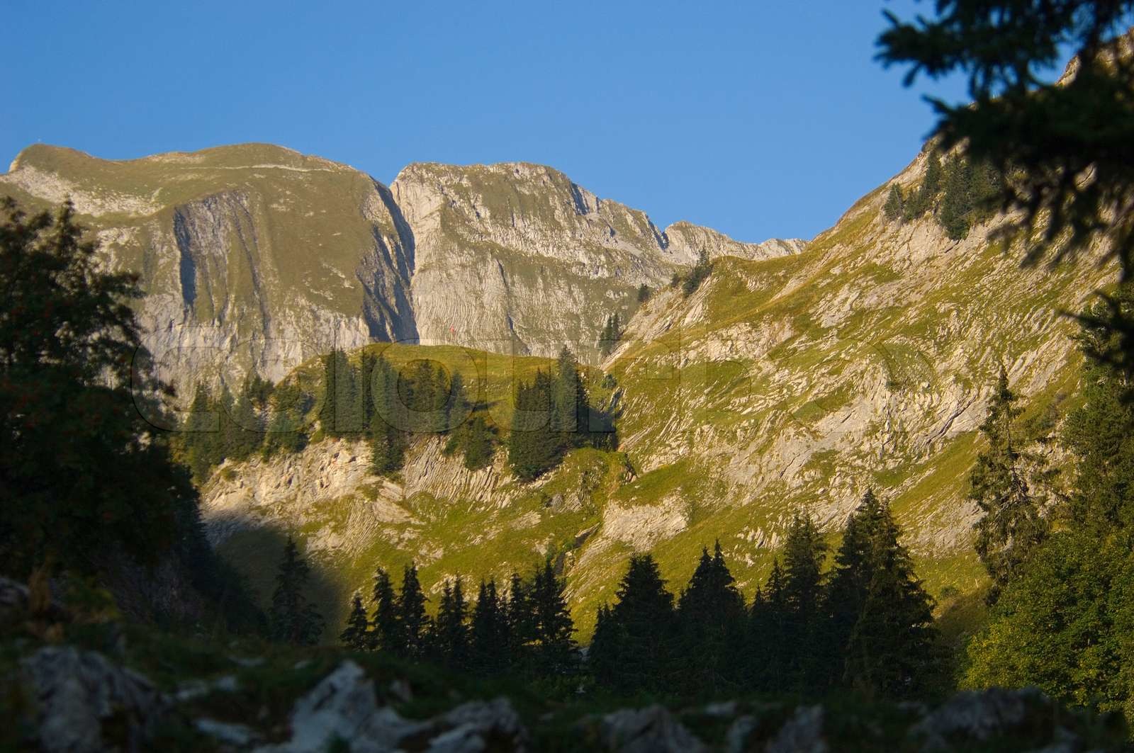 Vanil Noir, Schweizer Nationalpark Schweiz Stock Bild Colourbox