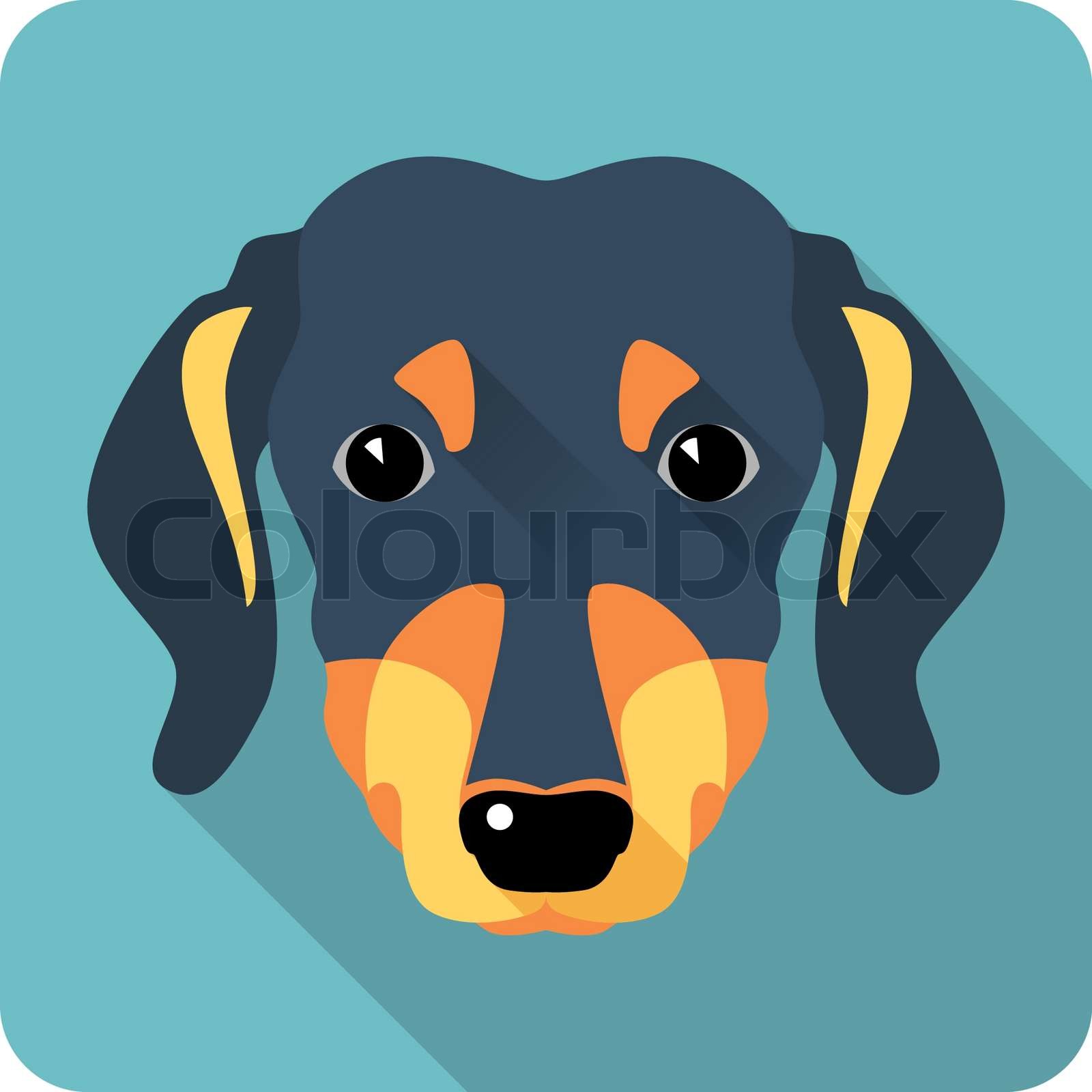 dackel, flach, design | Stock-Vektor | Colourbox