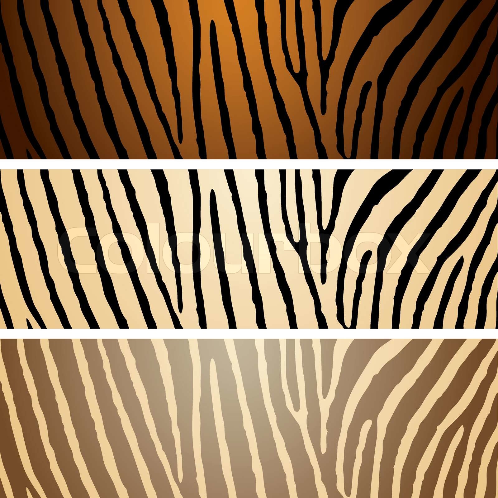 Collection of three zebra patterns with camouflage effect Stock
