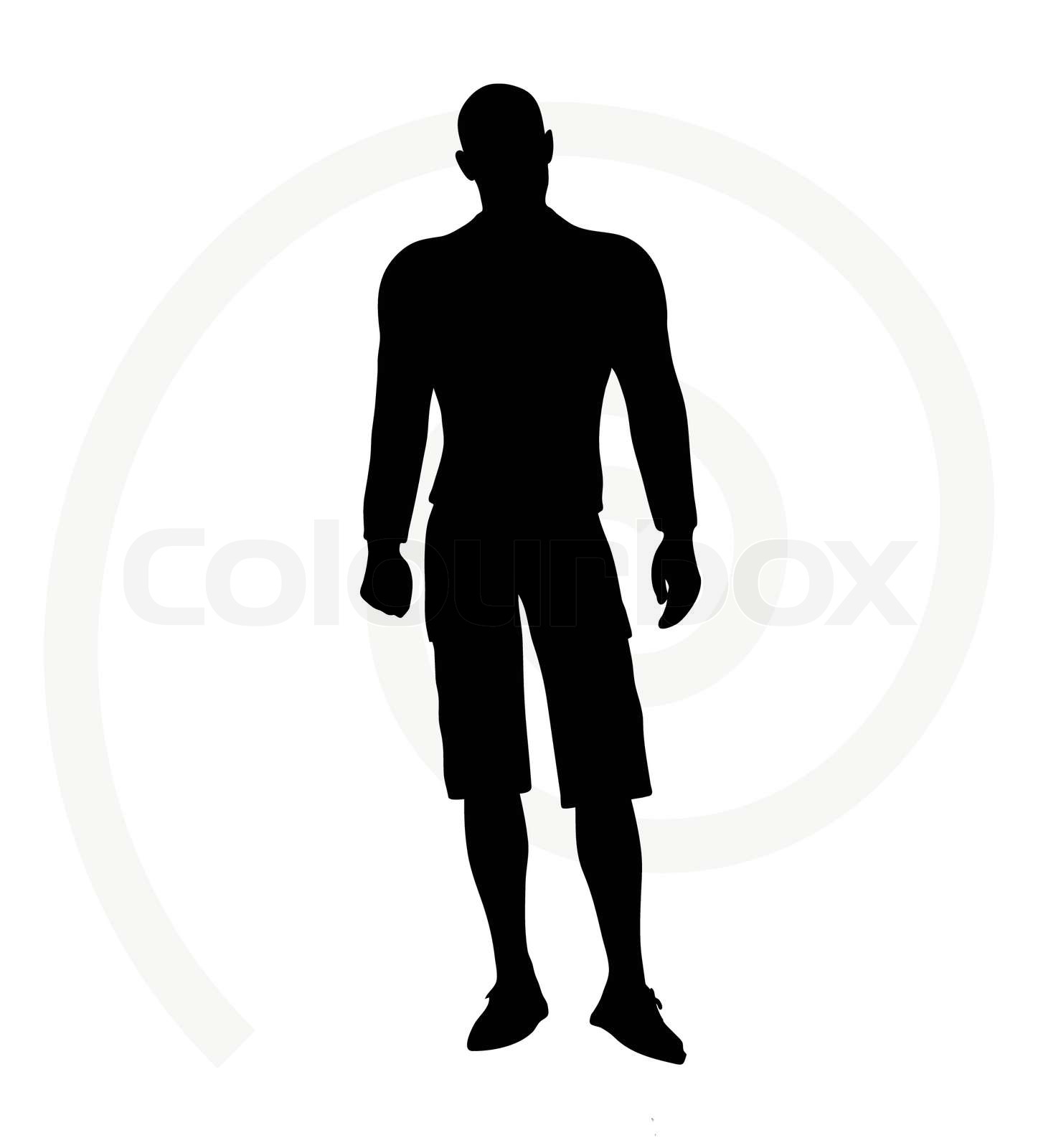 schattenriss, mann, vektor | Stock-Vektor | Colourbox
