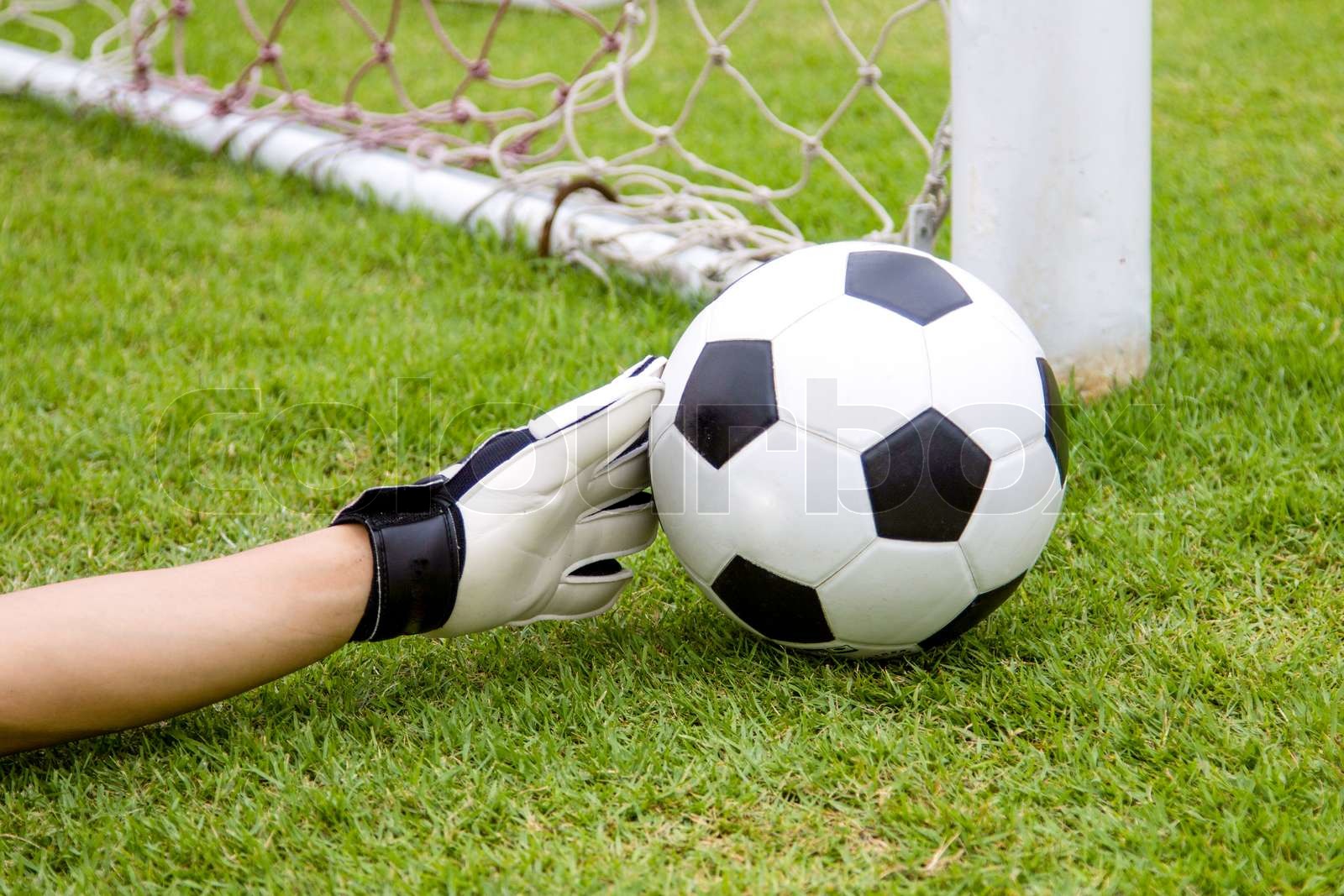 football | Stock image | Colourbox