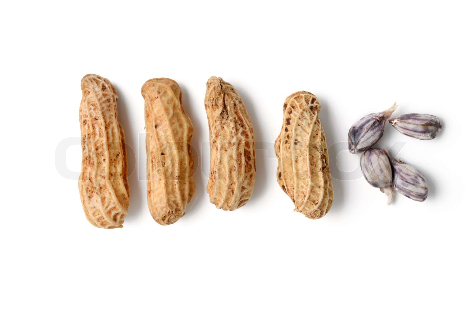 boiled-peanuts-stock-image-colourbox