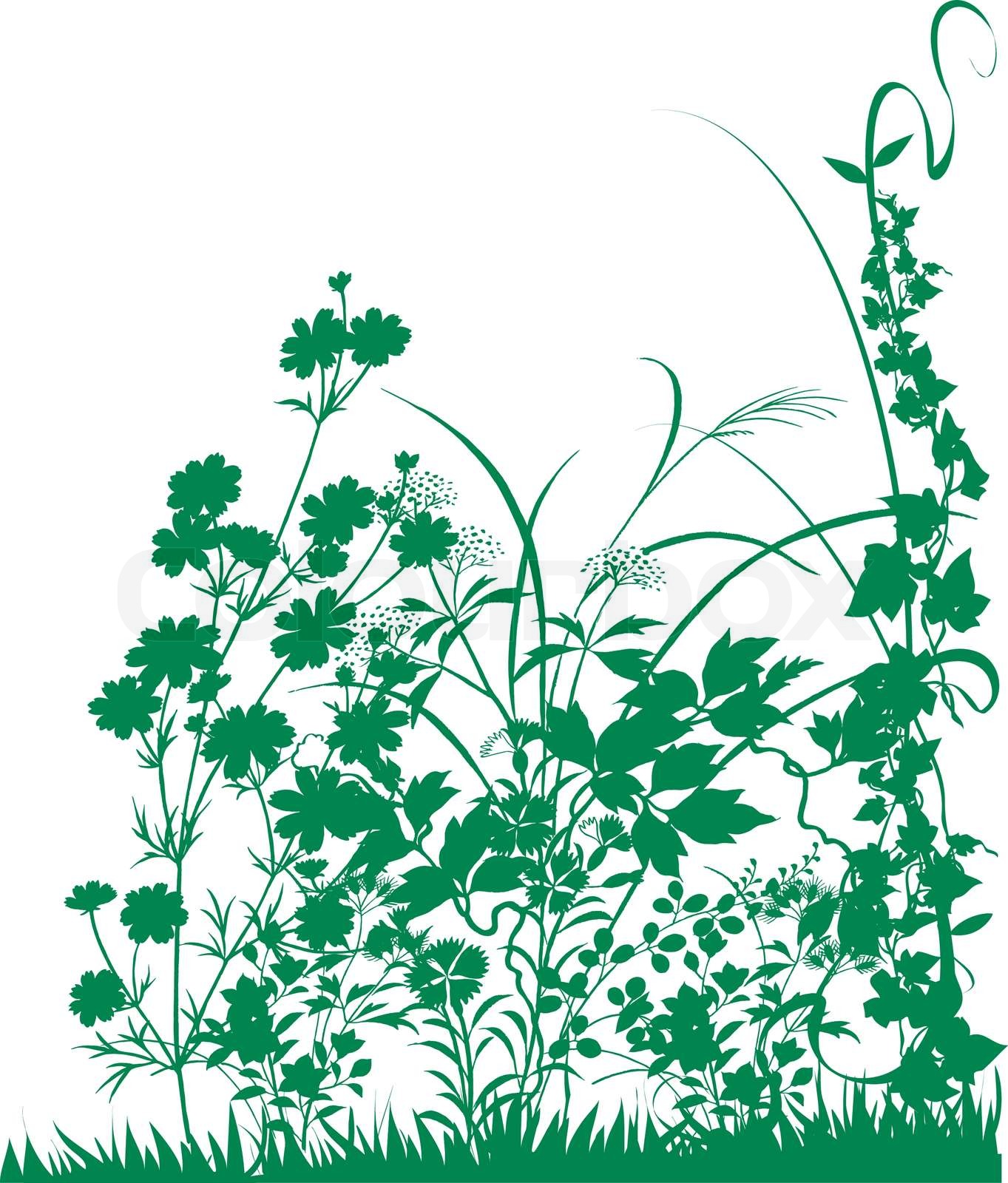 Stock Vector Colourbox