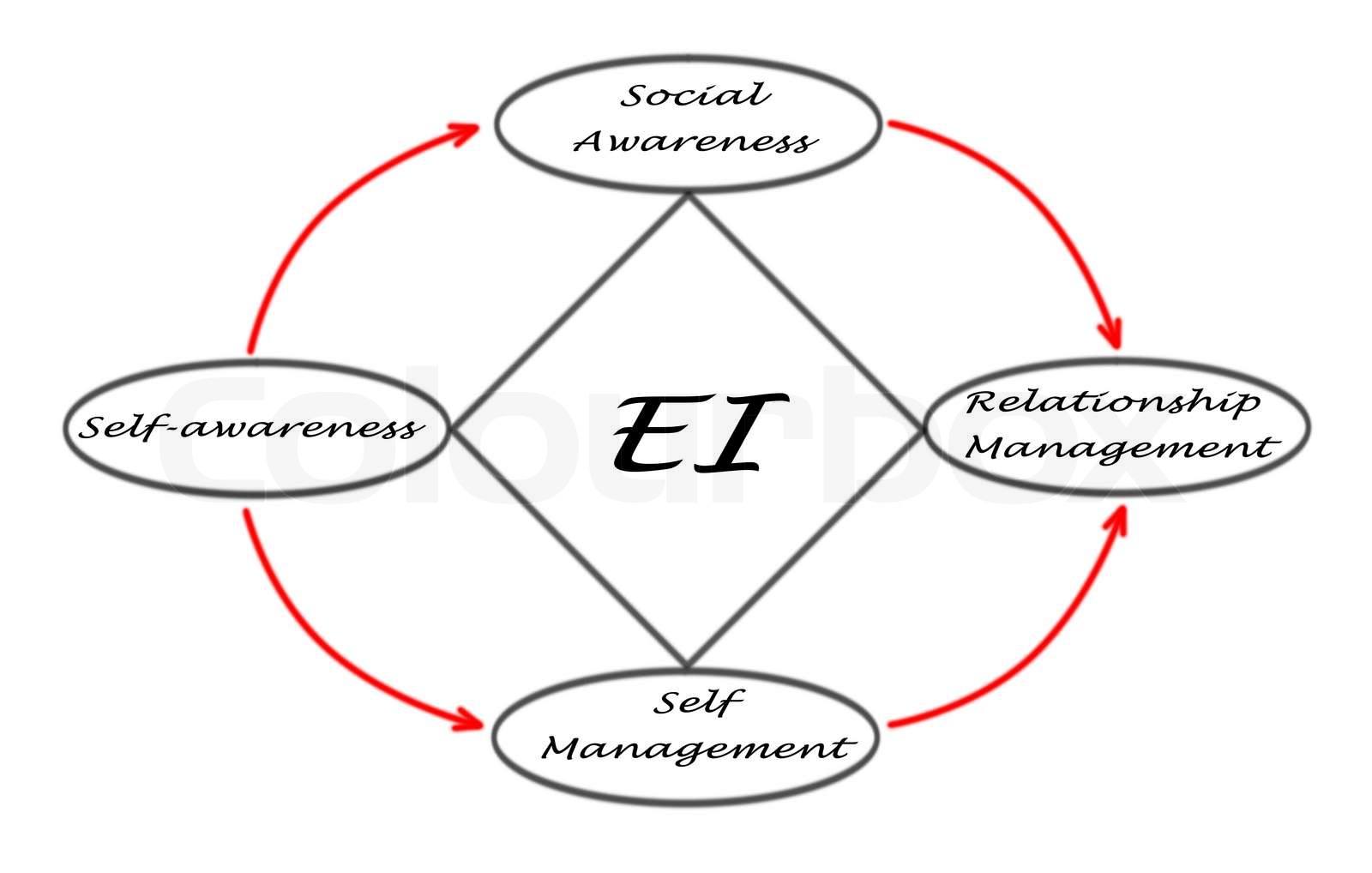 diagram-of-emotional-intelligence-stock-image-colourbox
