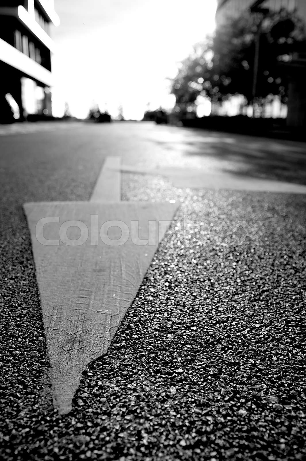 Arrow Sign On The Road Stock Image Colourbox arrow-sign-on-the-road-stock-image-colourbox
