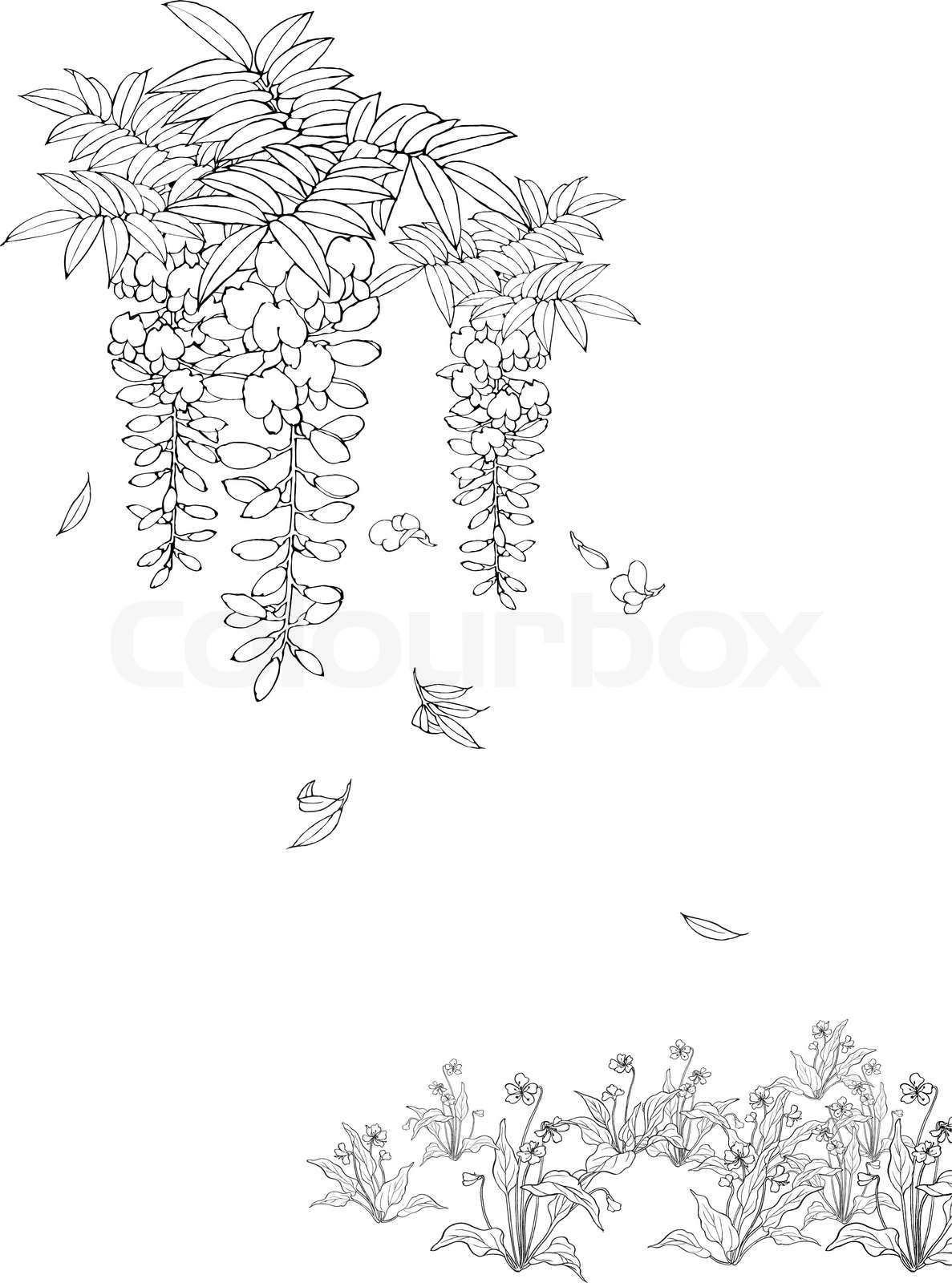 hanging, plants, vector Stock vector Colourbox