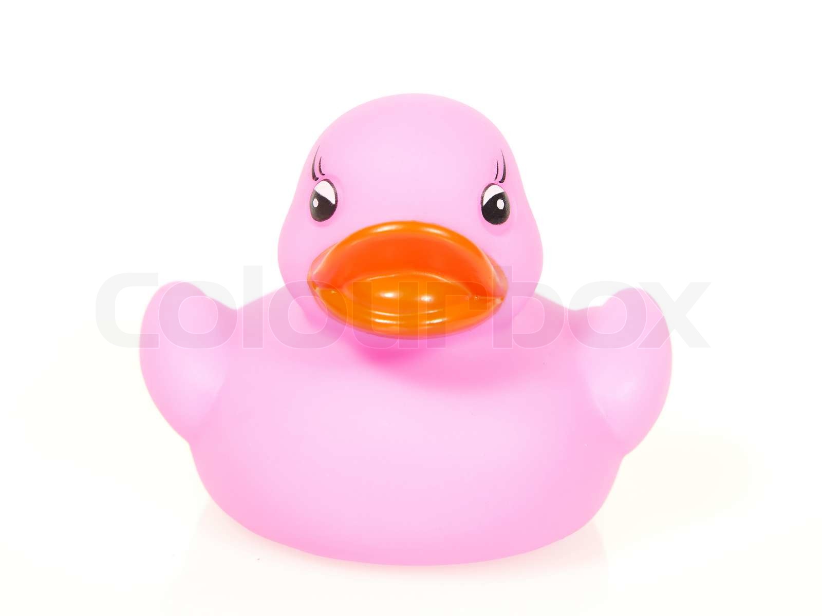 Purple rubber duck | Stock image | Colourbox