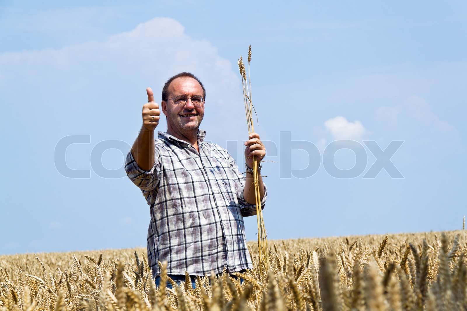 bauer, landwirtschaft, leute | Stock Bild | Colourbox