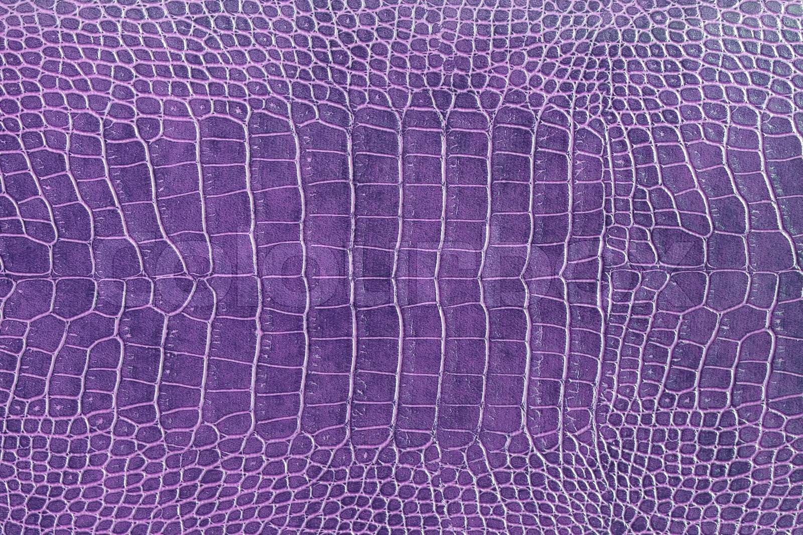 purple crocodile skin texture as a wallpaper | Stock image | Colourbox