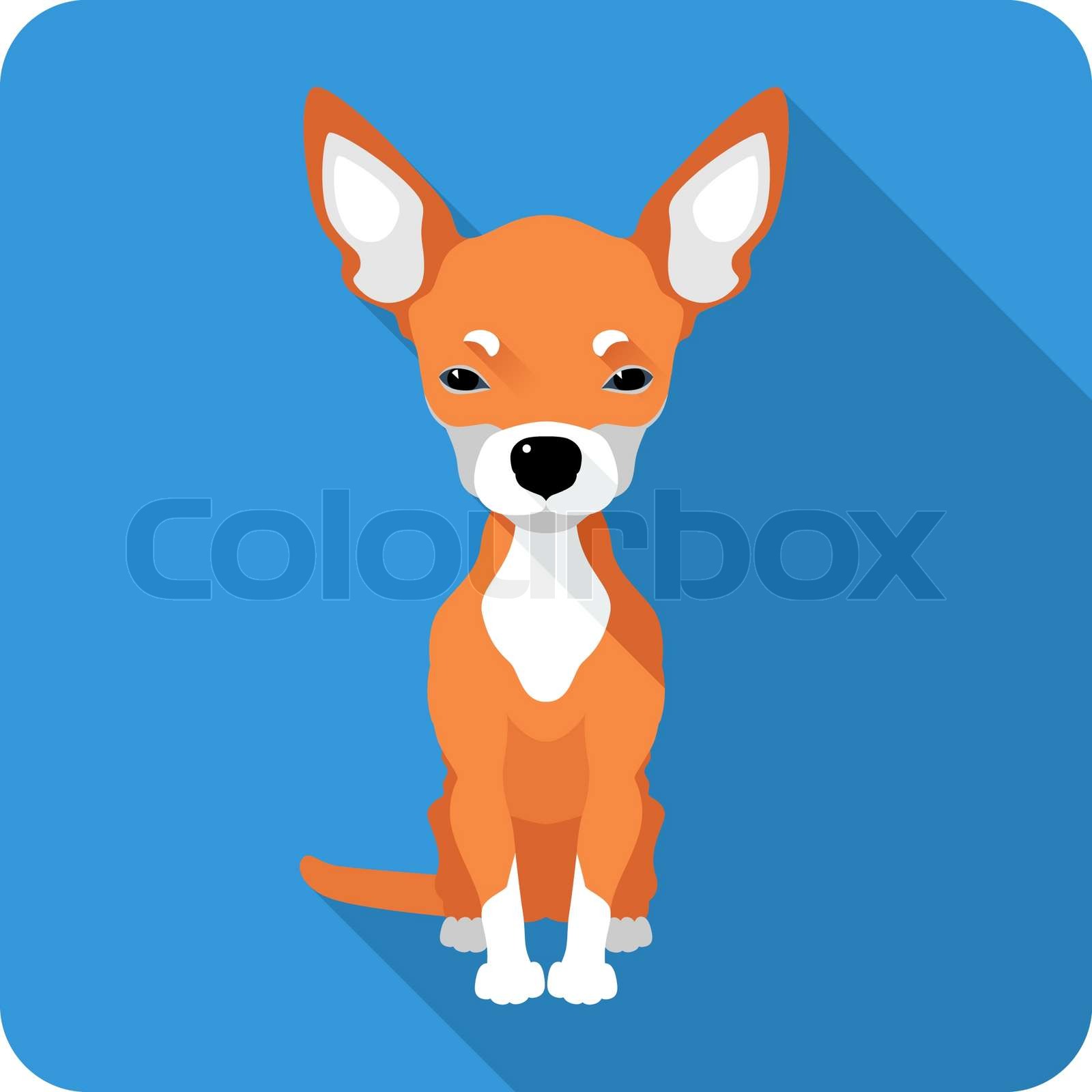 dog Chihuahua icon flat design | Stock vector | Colourbox