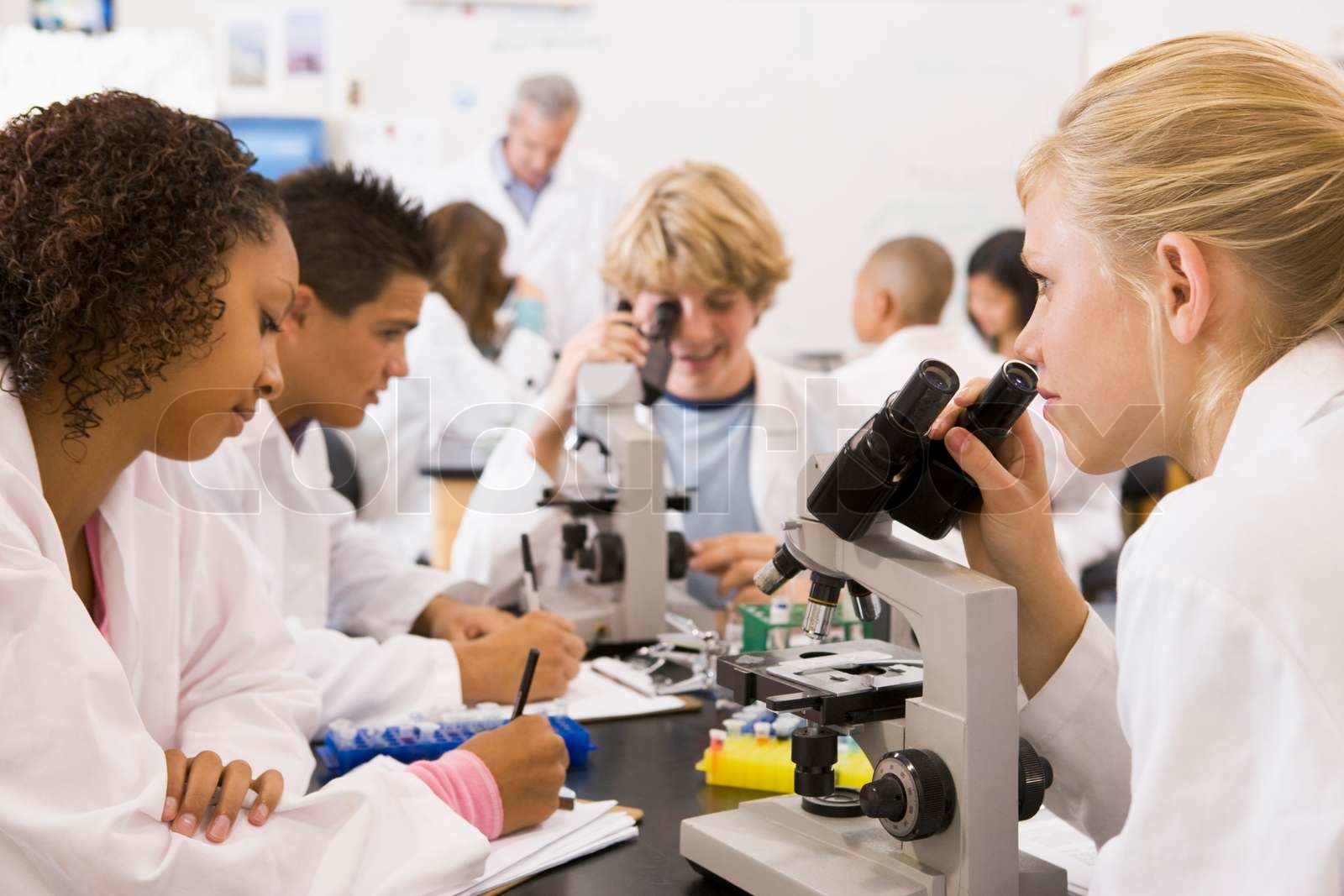 naturwissenschaft, schule, mikroskop Stock Bild Colourbox
