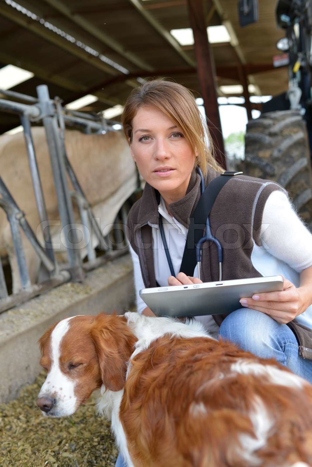 veterinarian, analysis, kneeling Stock image Colourbox