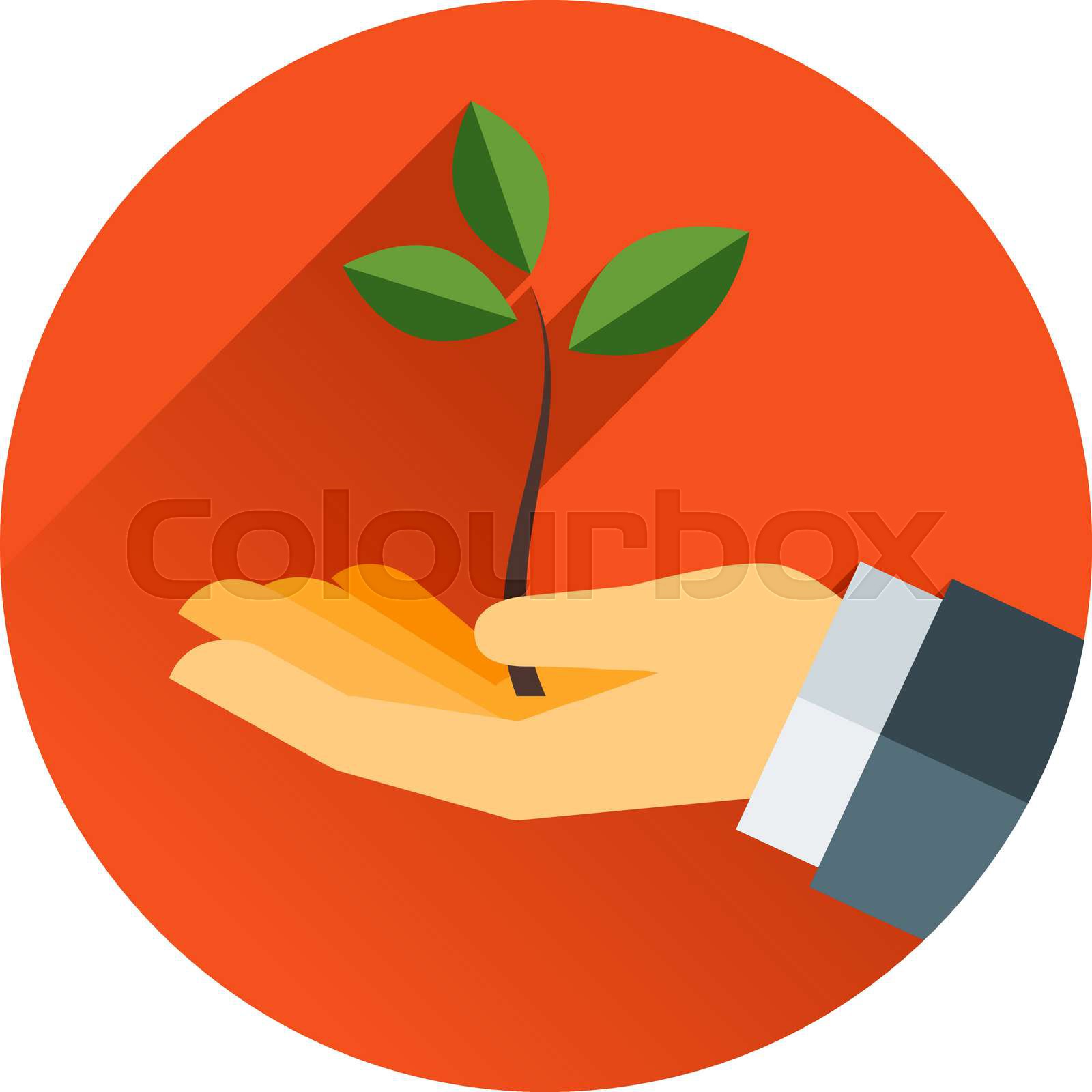 Small Tree In A Hand Stock Vector Colourbox