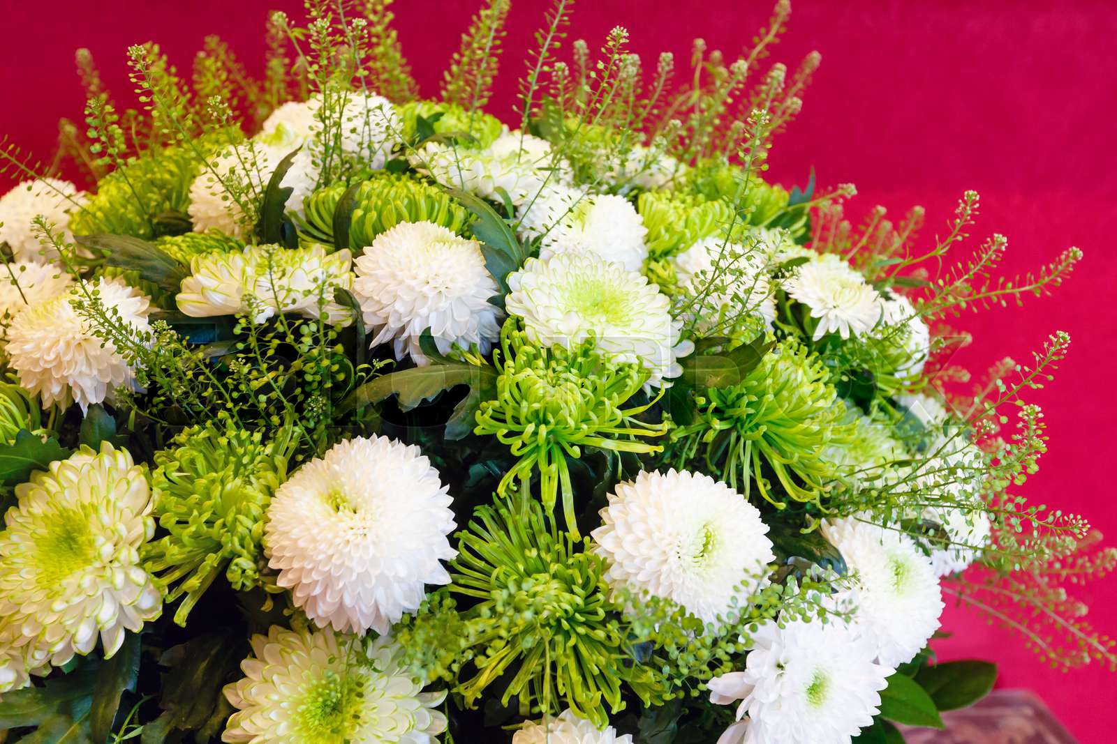 White chrysanthemum flowers bouquet | Stock image | Colourbox