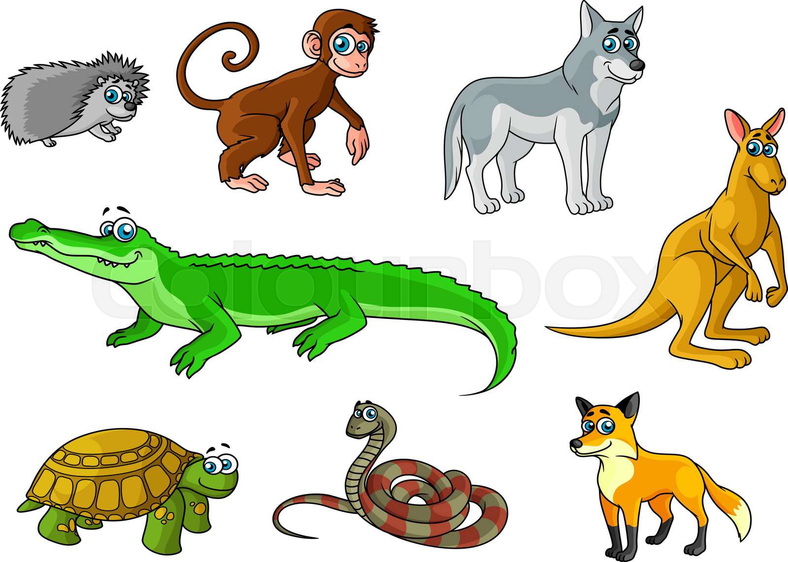 Cartoon forest and jungle wild animals | Stock vector | Colourbox