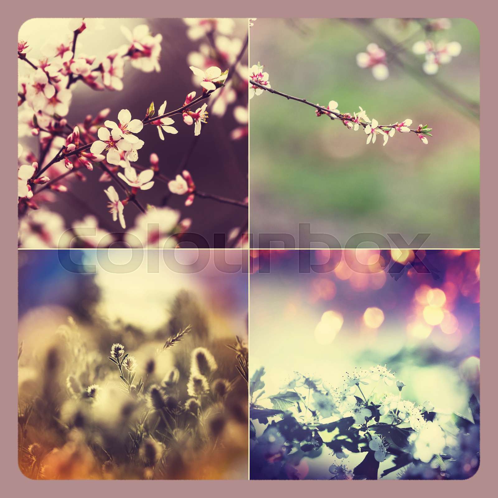 Spring collage | Stock image | Colourbox