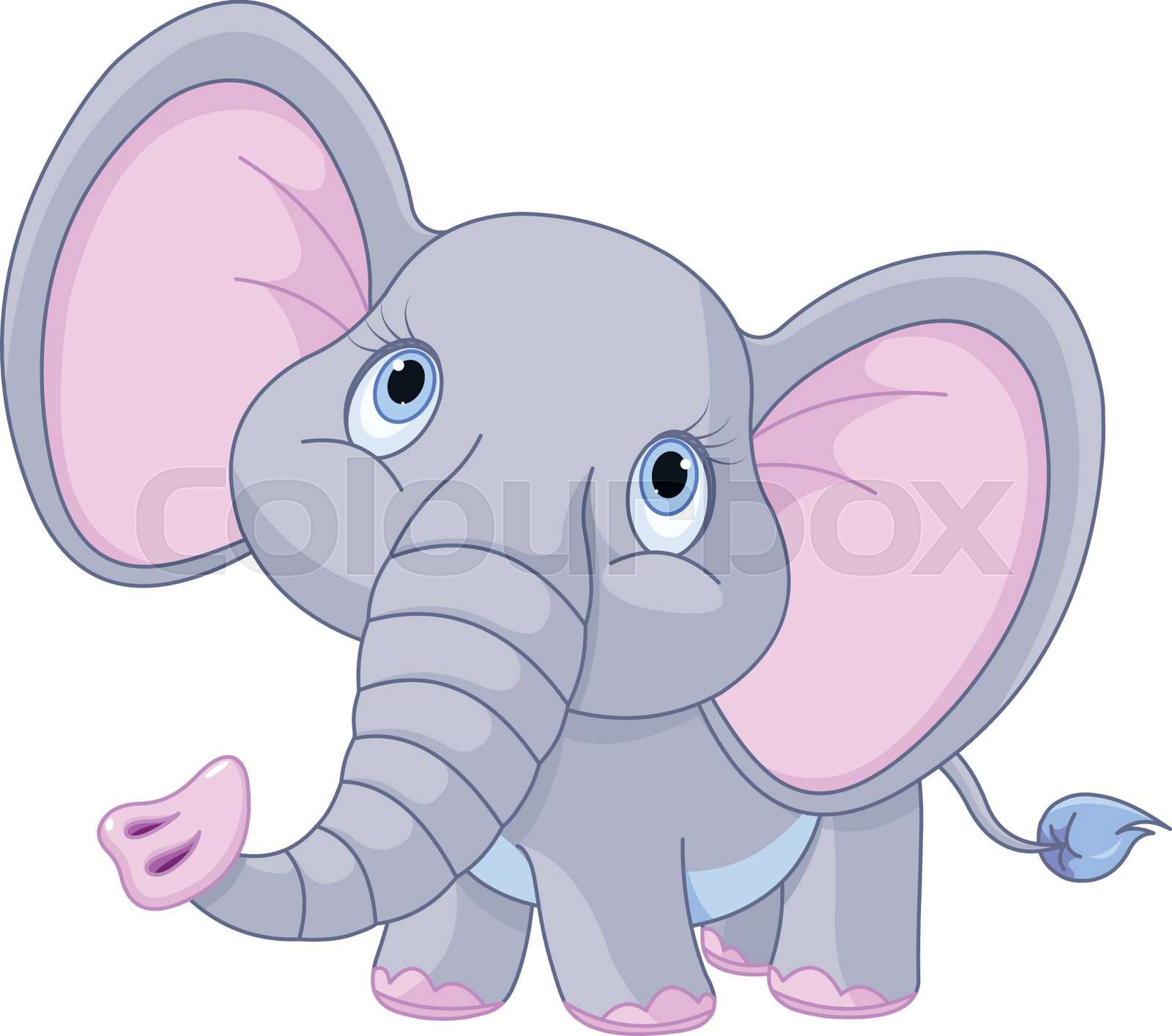 Baby Elephant Stock Vector Colourbox