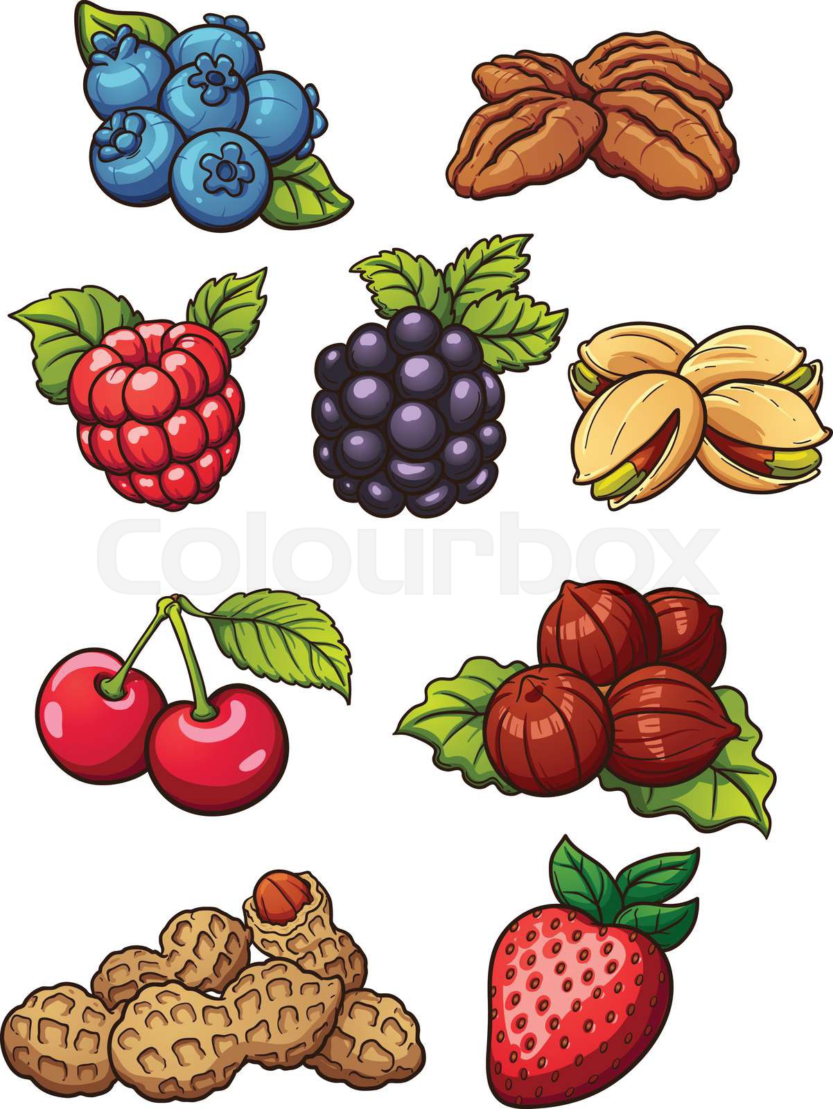 Nuts and berries Stock vector Colourbox