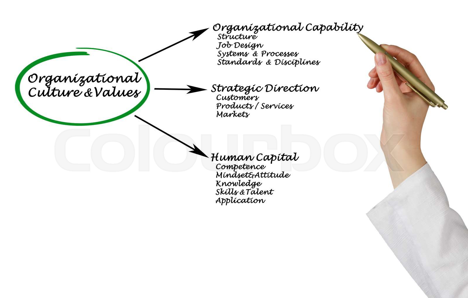 Diagram Of Organizational Culture Values Stock Image Colourbox Diagram Of Organizational Culture Values Stock Image Colourbox