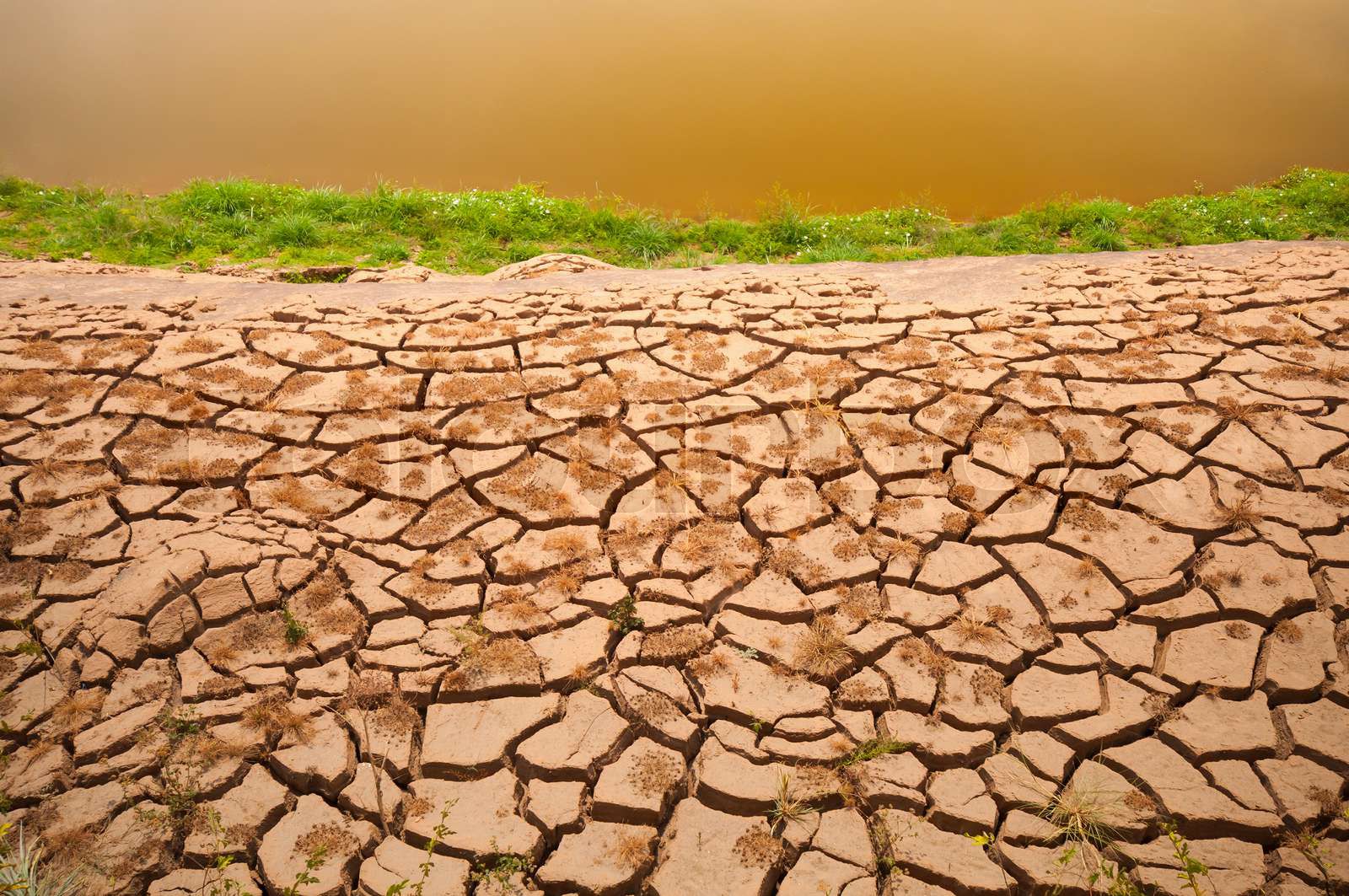 Arid Land Stock Image Colourbox