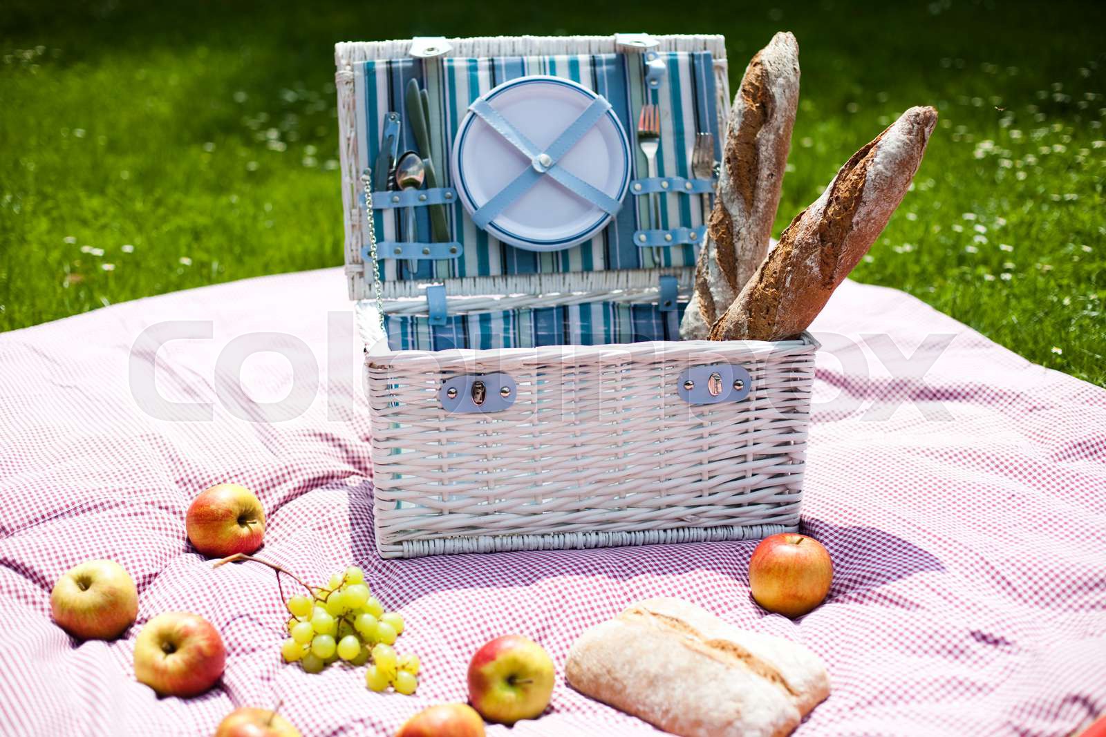 Picnic basket on green lawn | Stock image | Colourbox