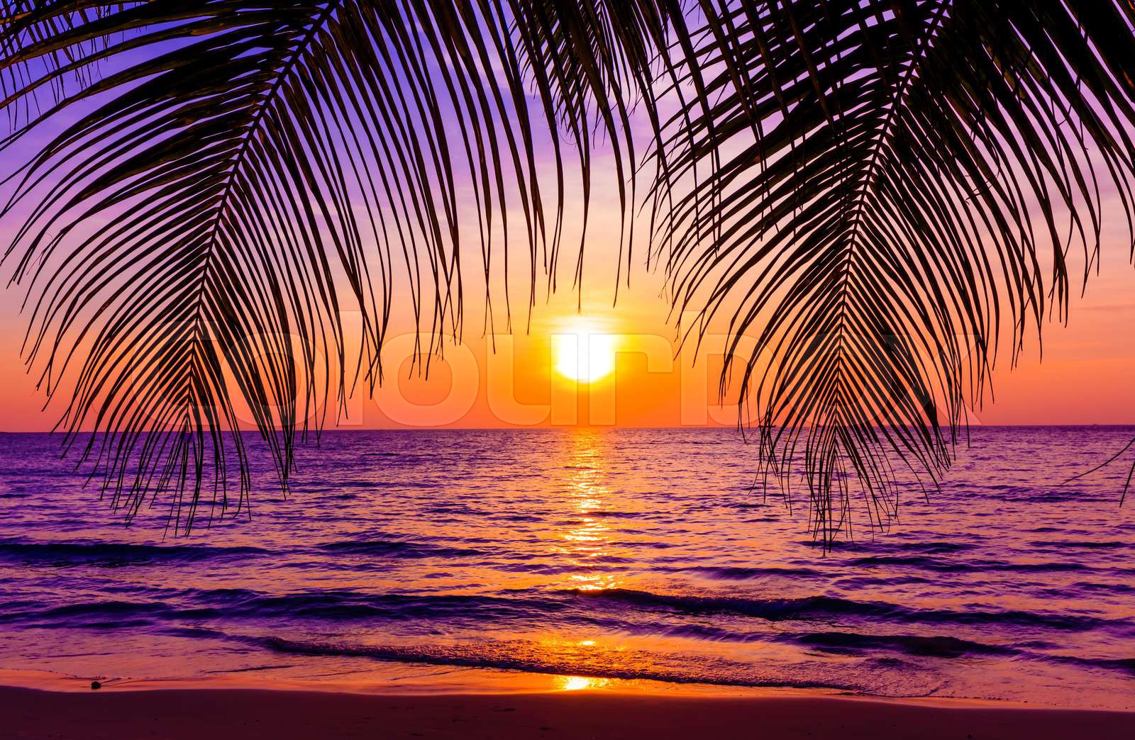 Tropical Beach Paradise Sunset