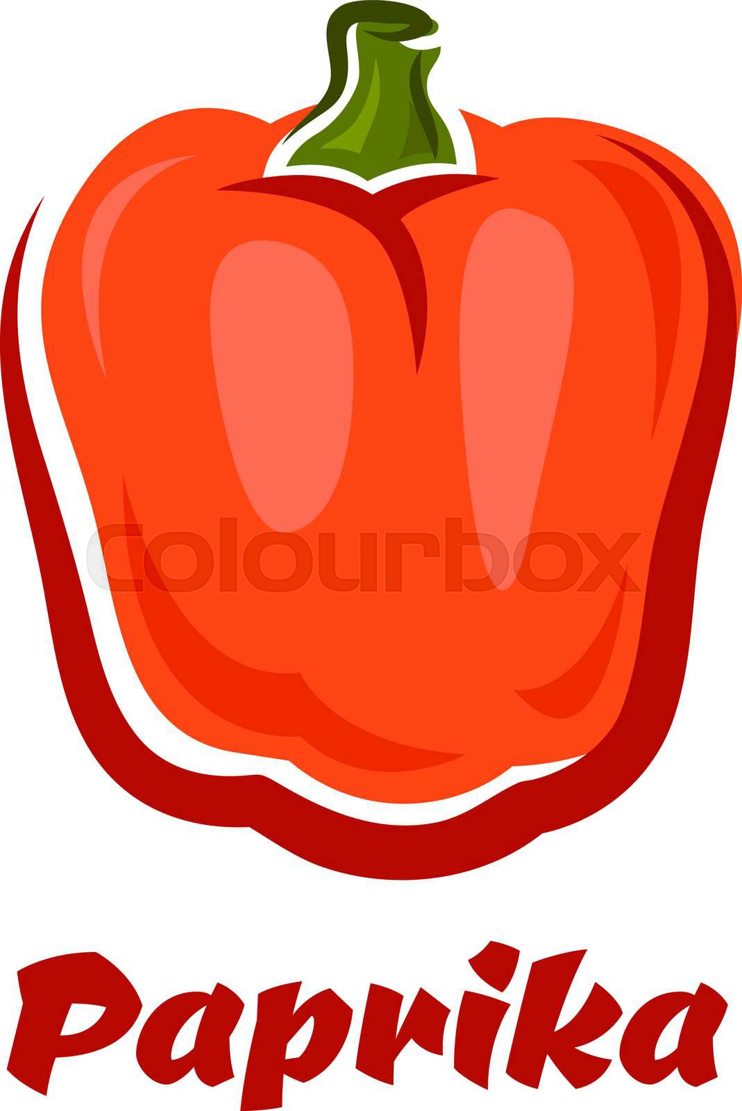 Fresh red bell pepper vegetable with the word Paprika Stock vector