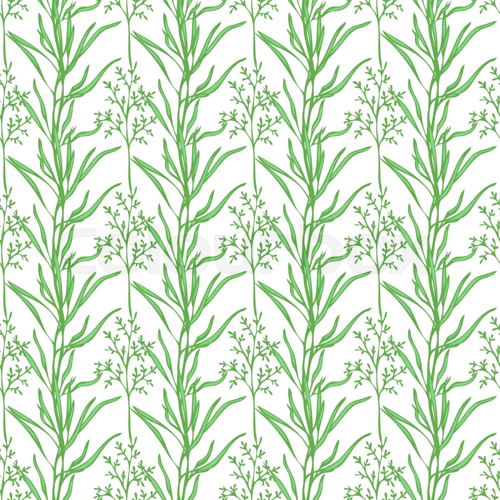 Seamless grass pattern. | Stock vector | Colourbox