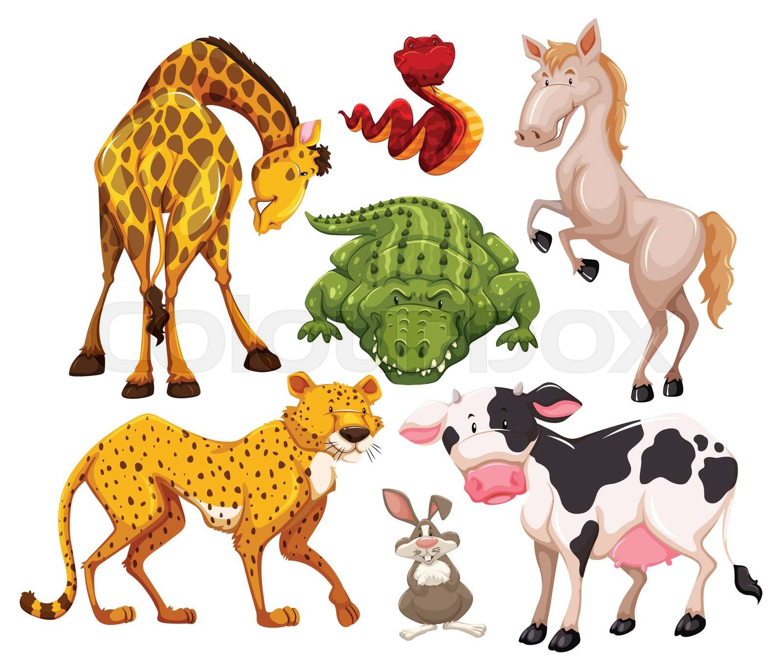 Mix_Animal2_15 Stock vector Colourbox