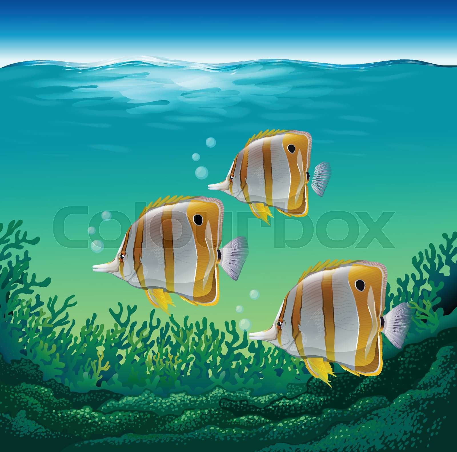 BM MixFriday 10 Stock Vector Colourbox